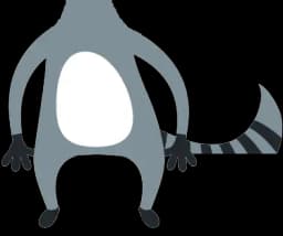 Racoon