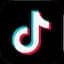 Kids World Records on TikTok