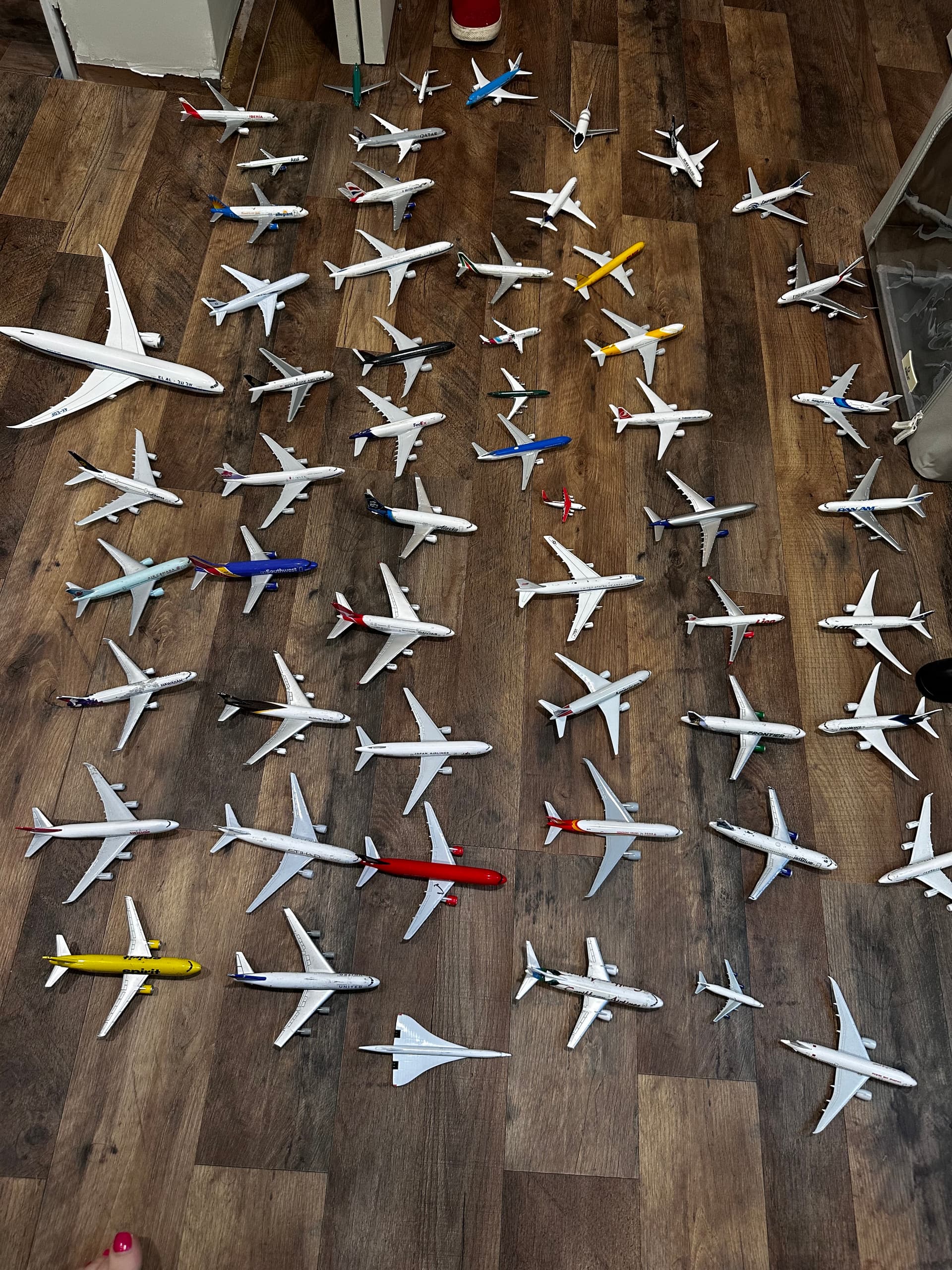 Largest Collection of Model Aircraft