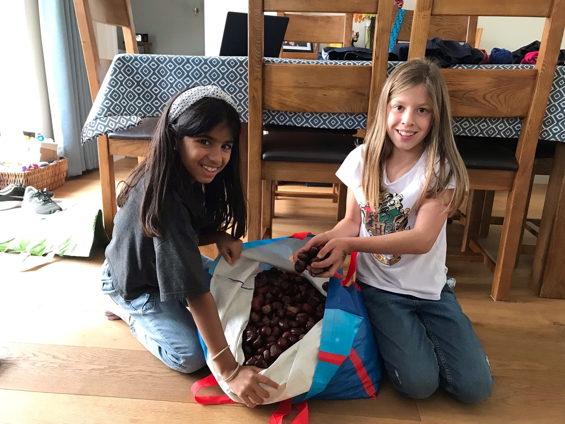Most Chestnuts Collected