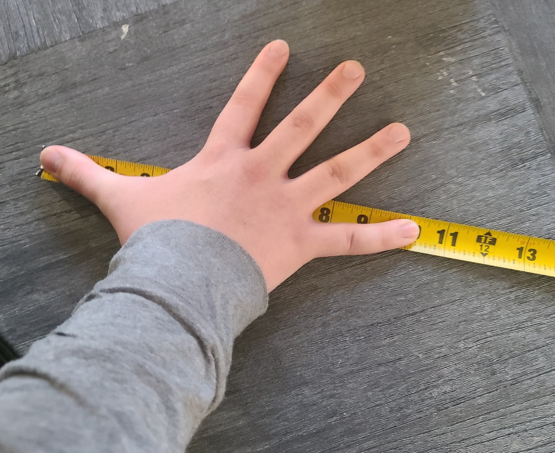 Largest Hand Span