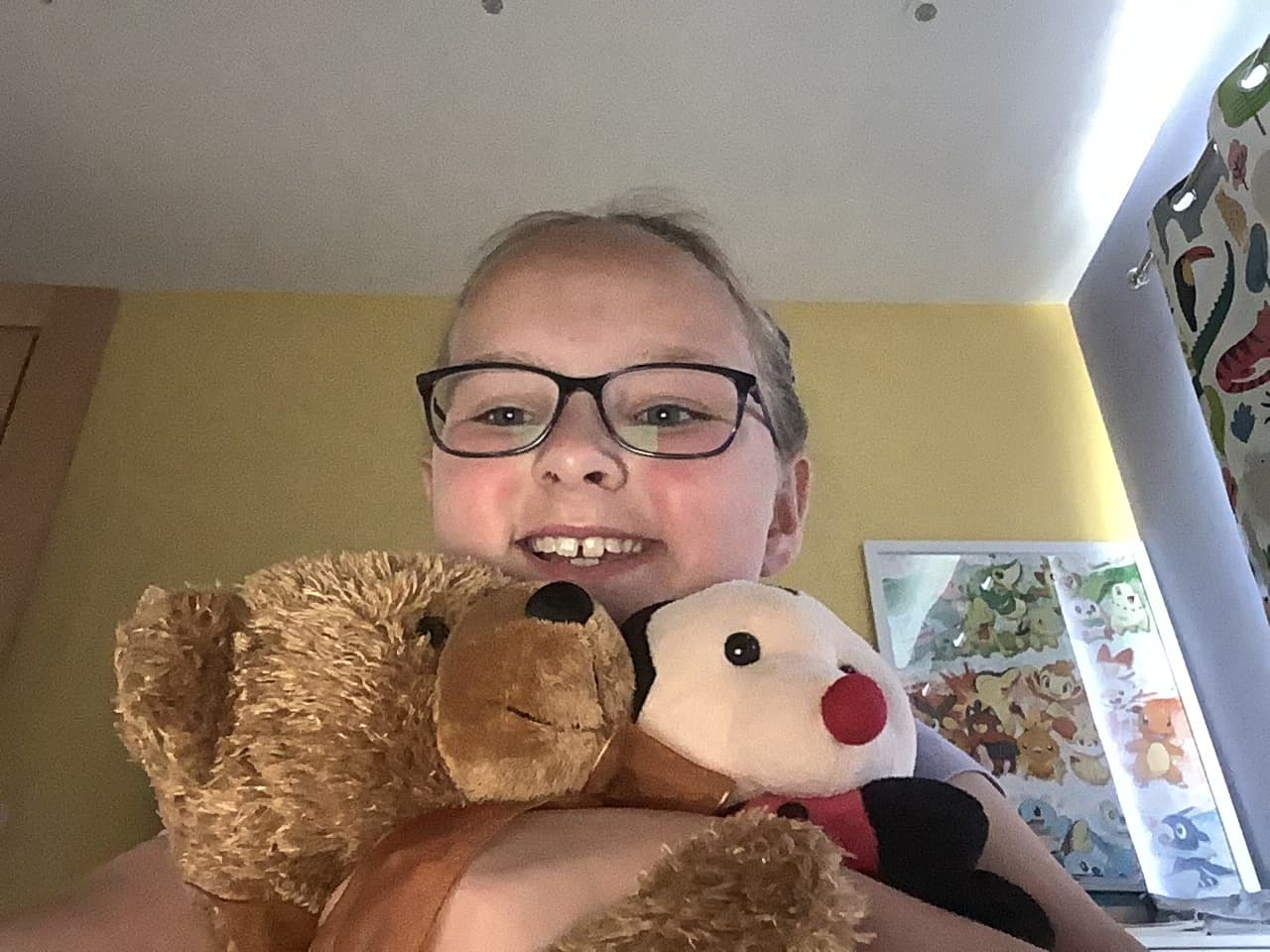 Largest Stuffed Animal Collection 