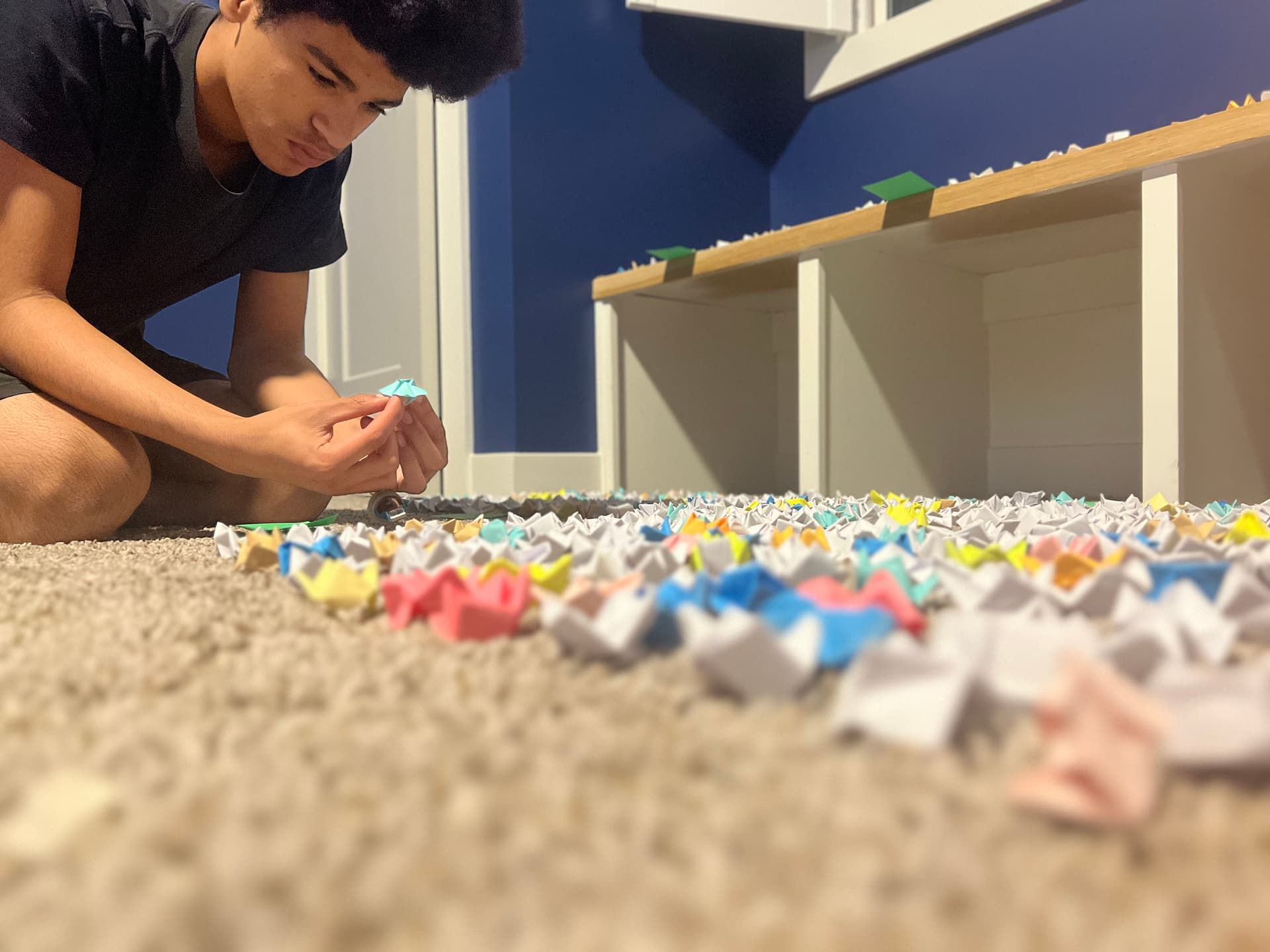Most Fortune Tellers Made