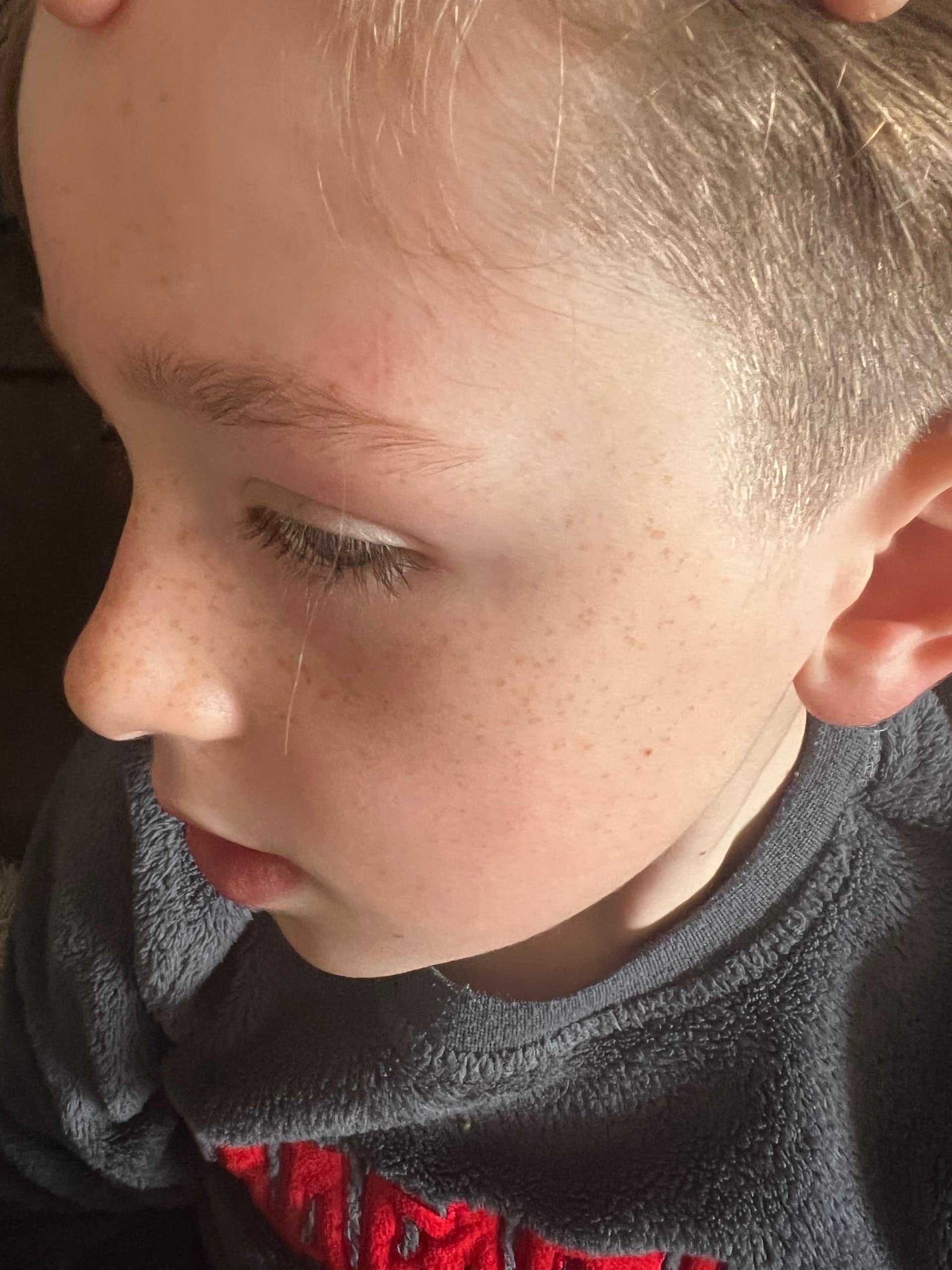 Longest Eyebrow Hair