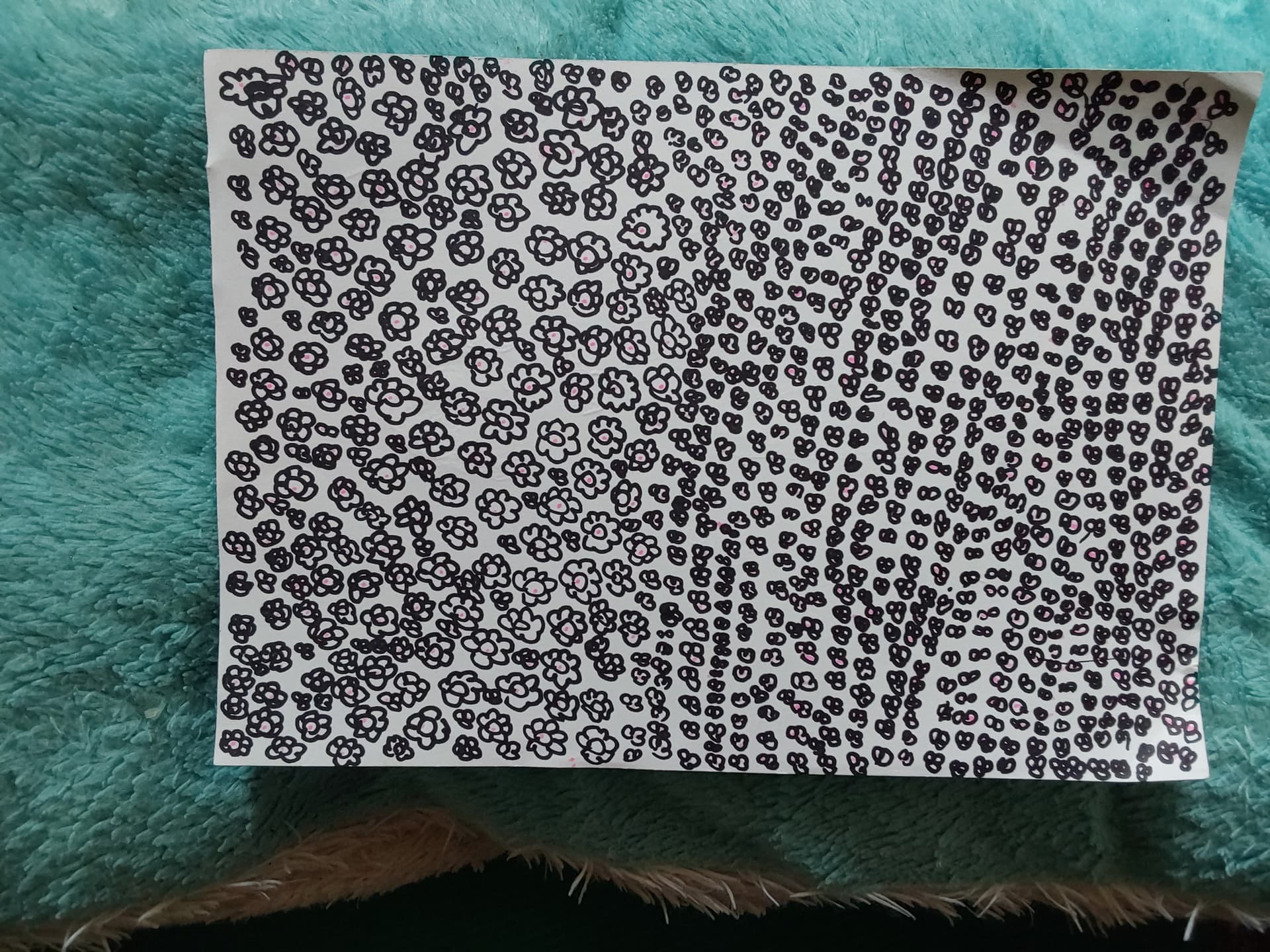 Most Flowers Drawn On A Page