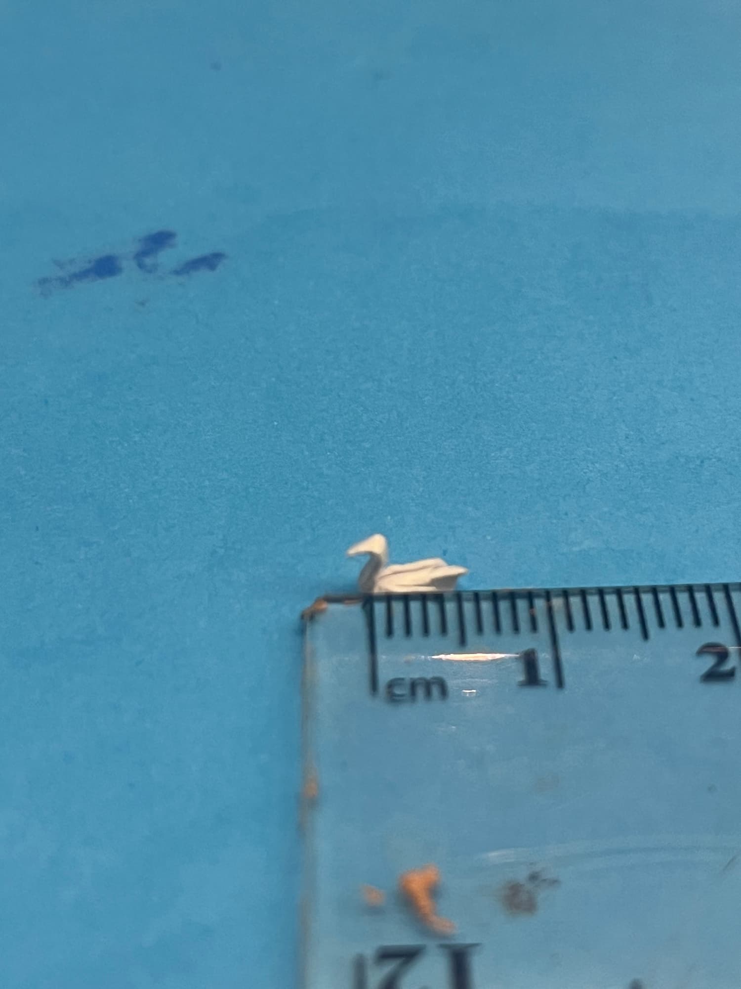 Smallest Origami Swan