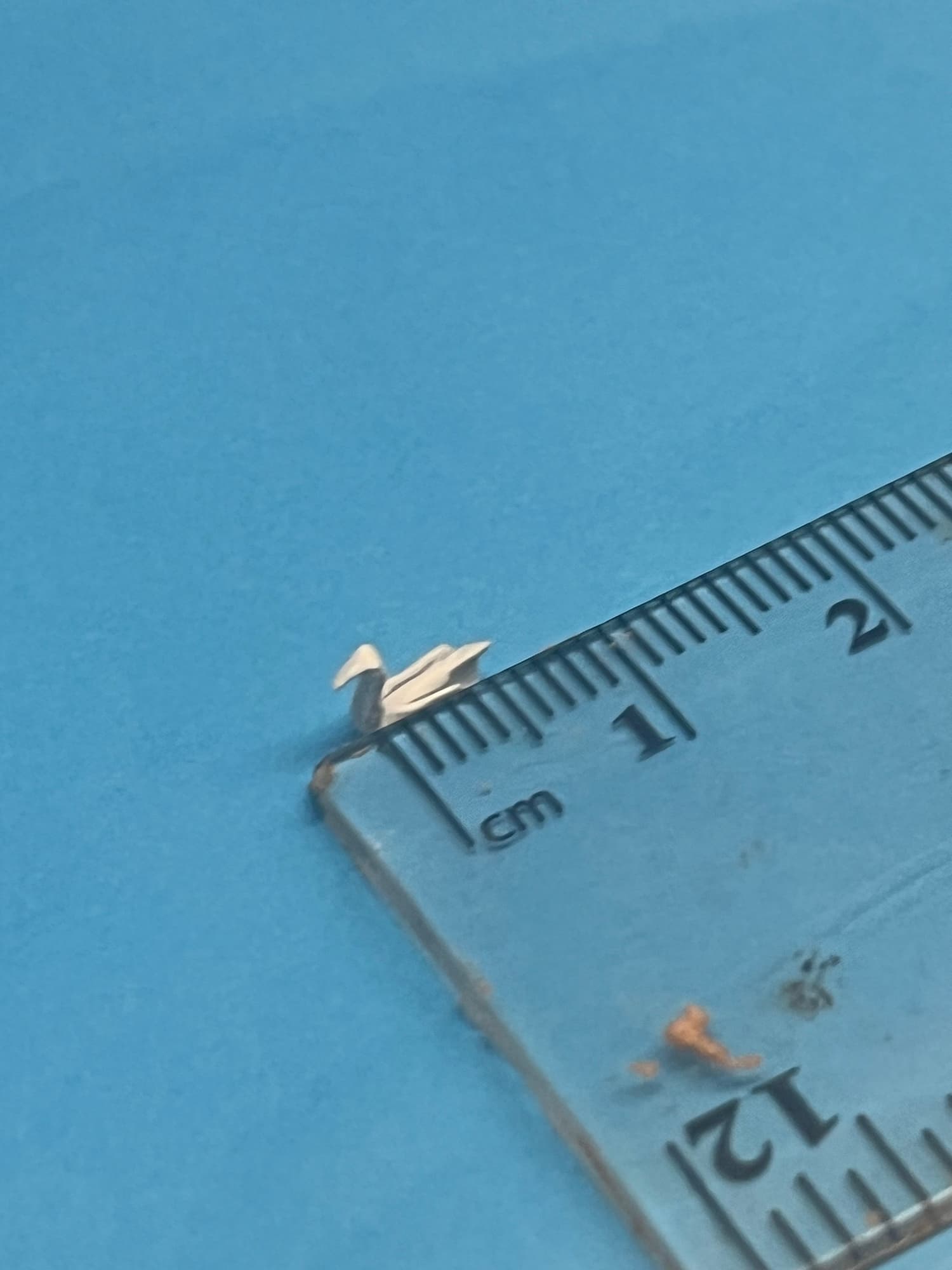 Smallest Origami Swan