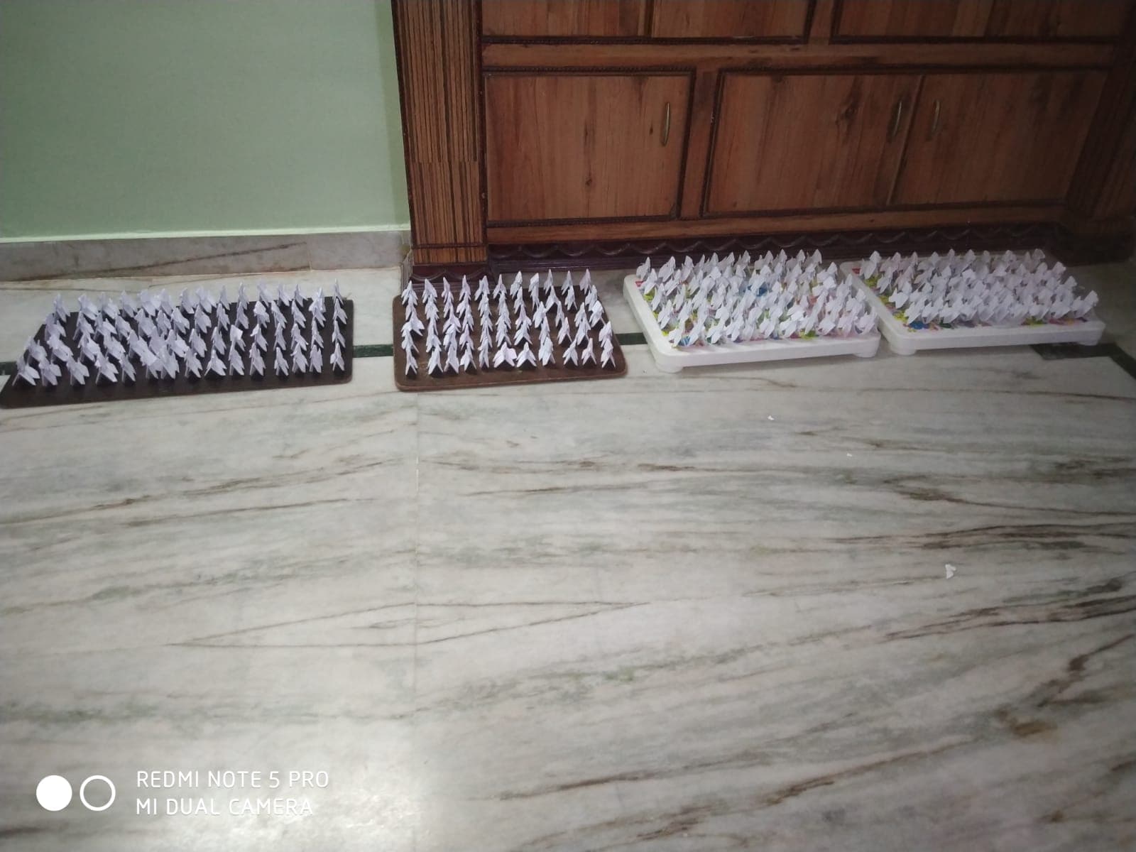 The largest collection of origami dogs