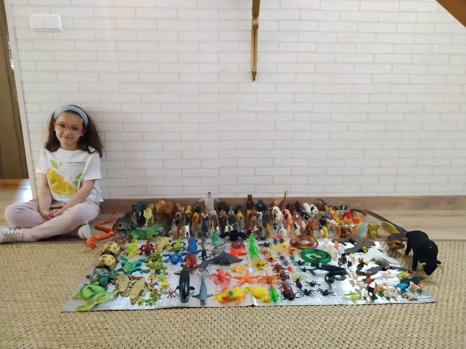 Largest Collection of Animal Figures