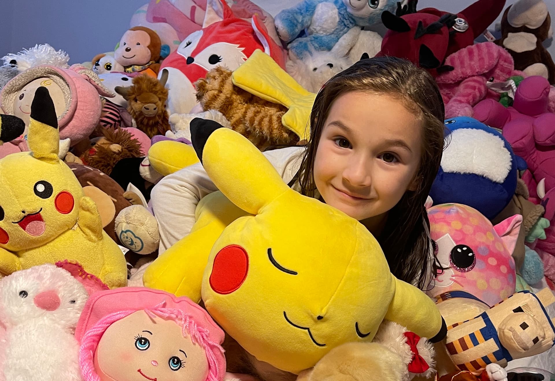Largest Stuffed Animal Collection