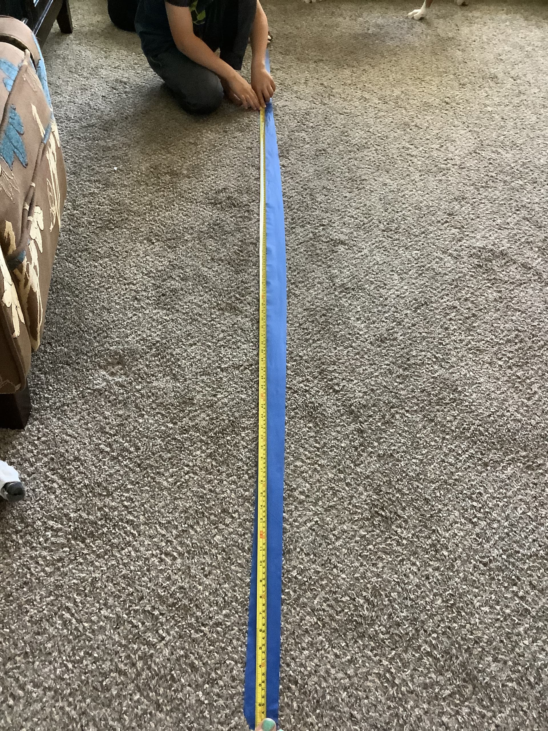 Longest Standing Long Jump