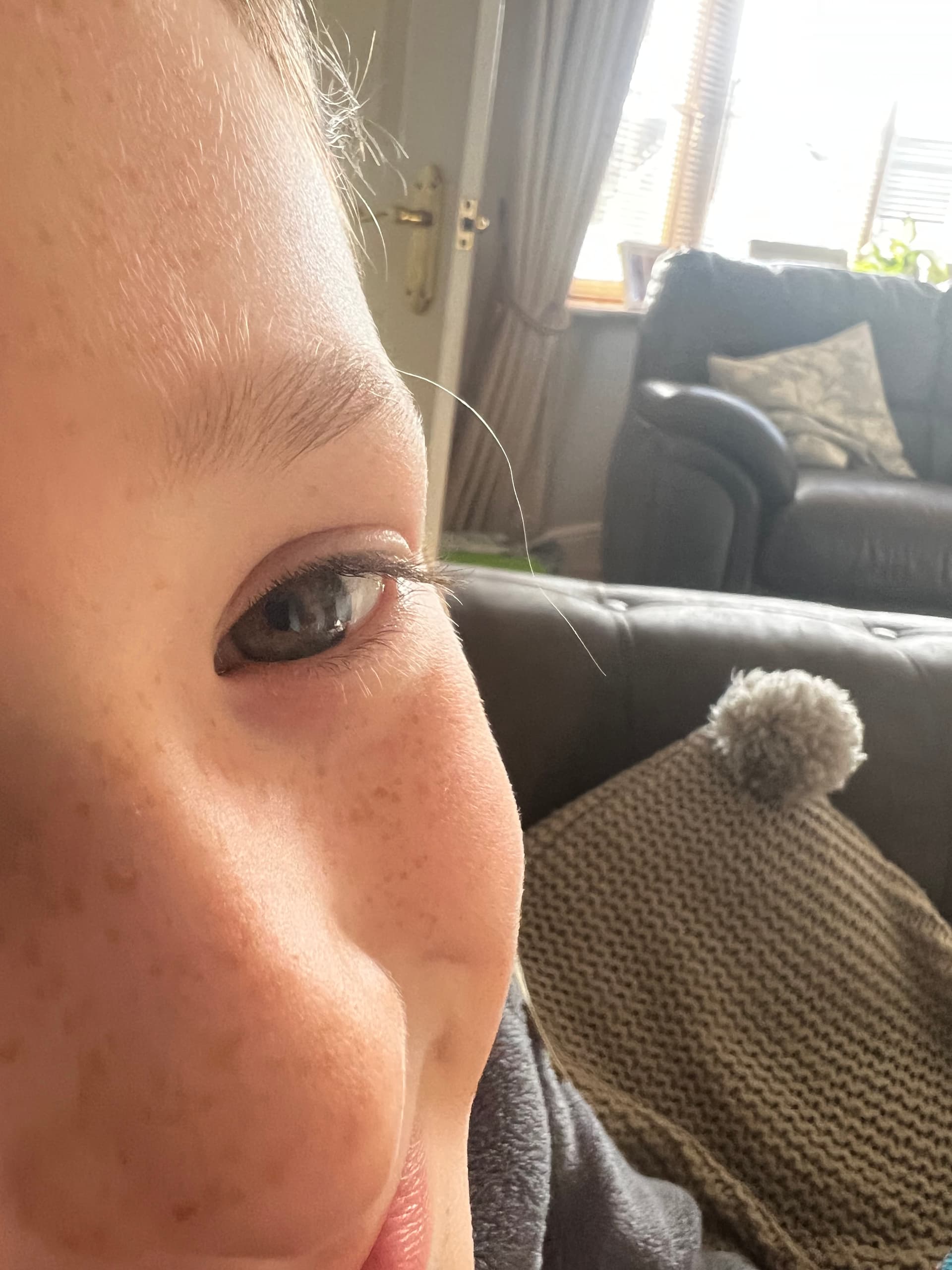 Longest Eyebrow Hair