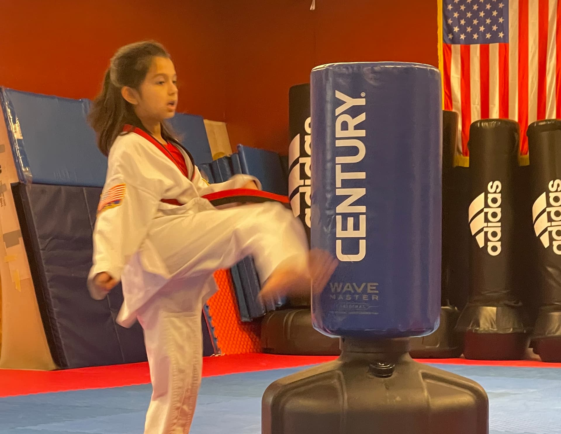 Most Roundhouse Kicks in 1 Minute