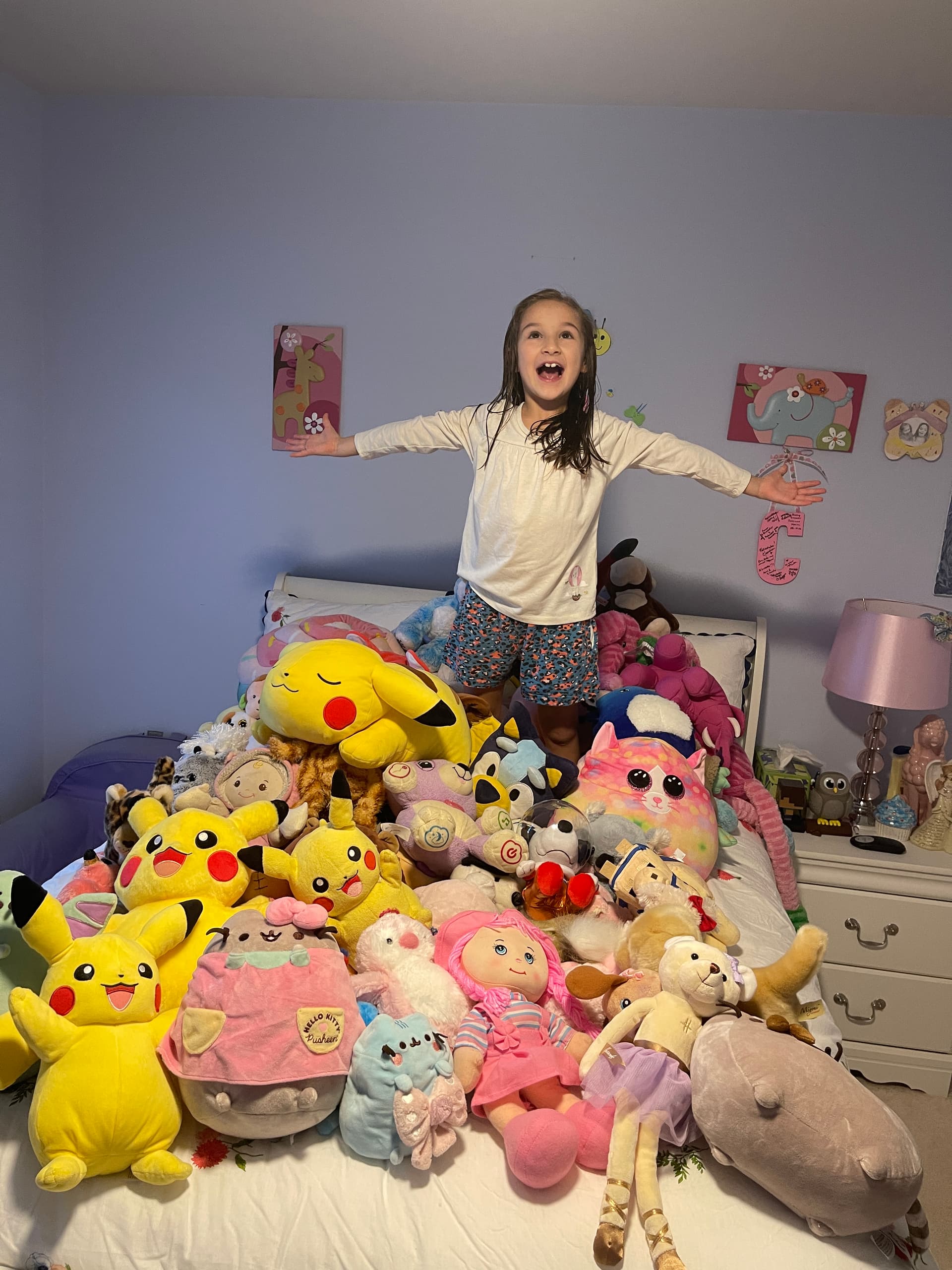Largest Stuffed Animal Collection