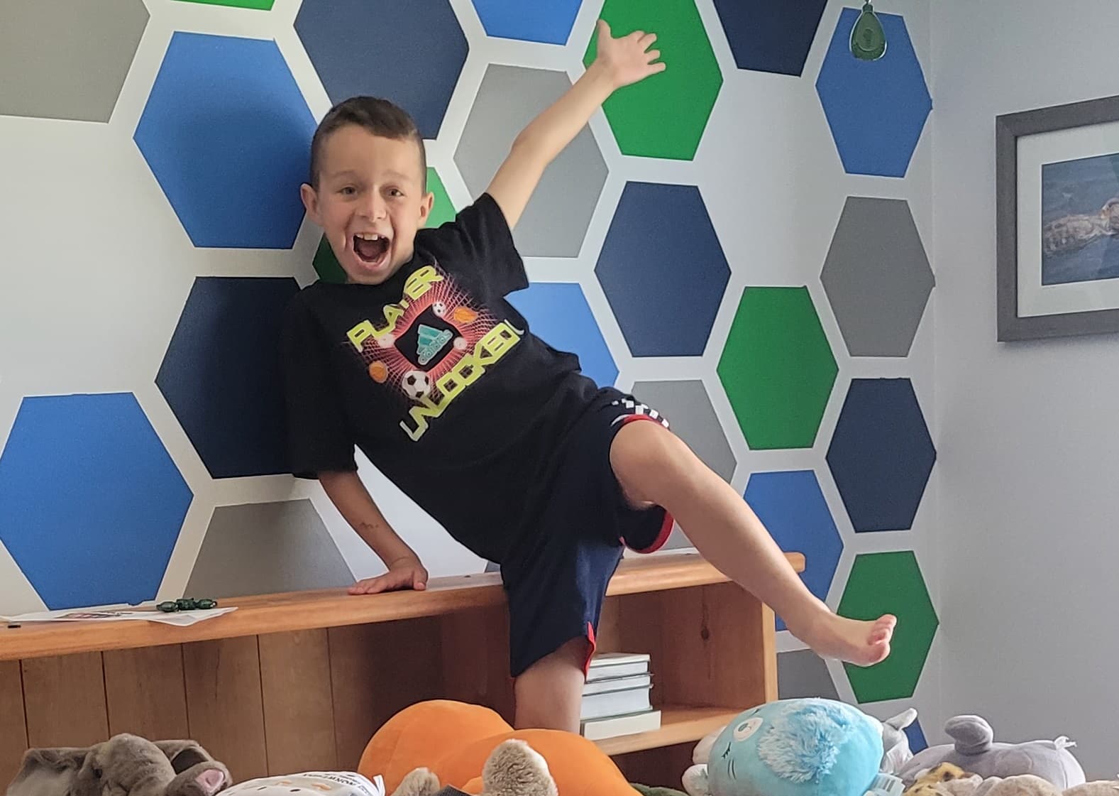 Largest Stuffed Animal Collection