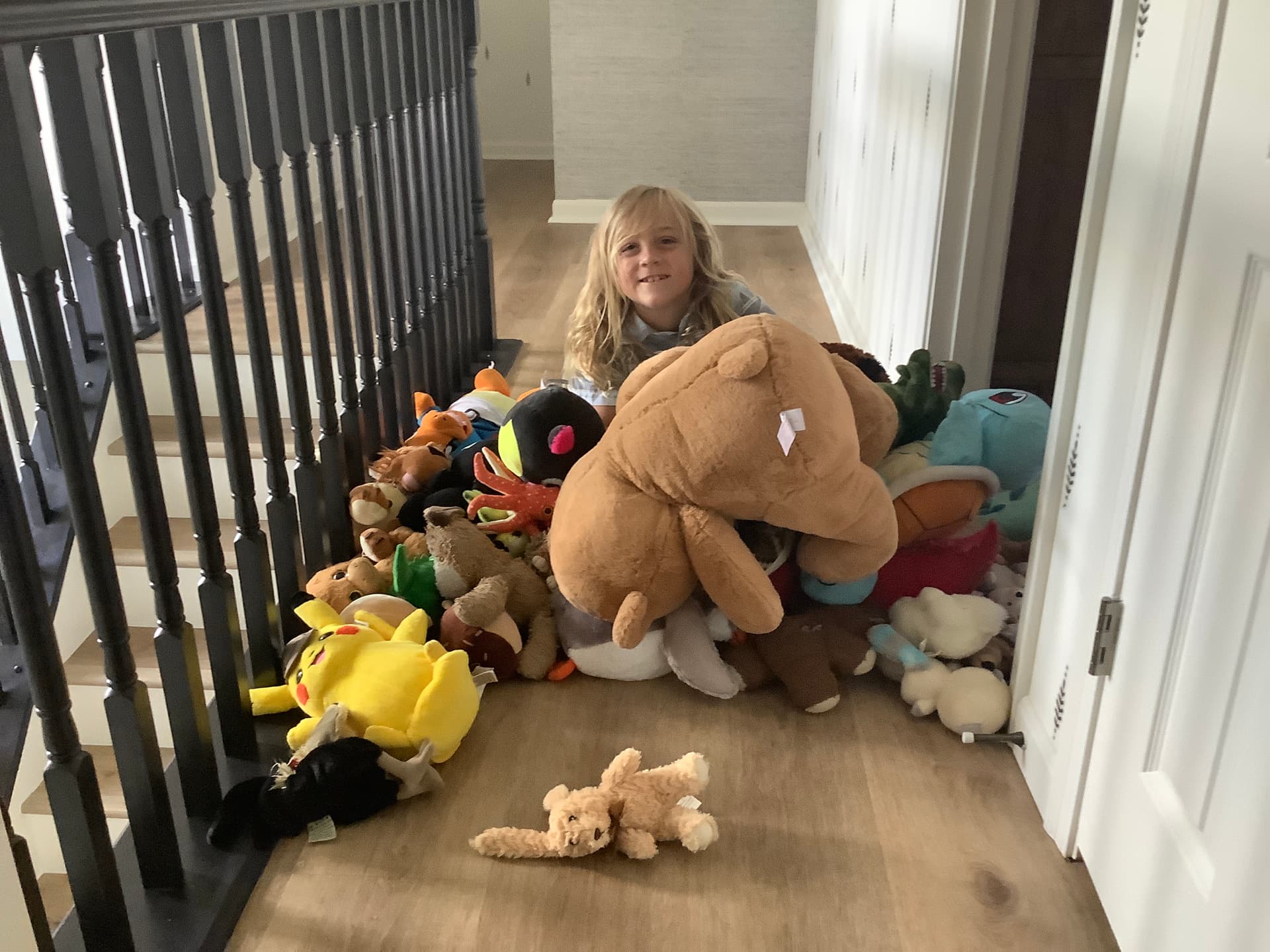 Largest Stuffed Animal Collection
