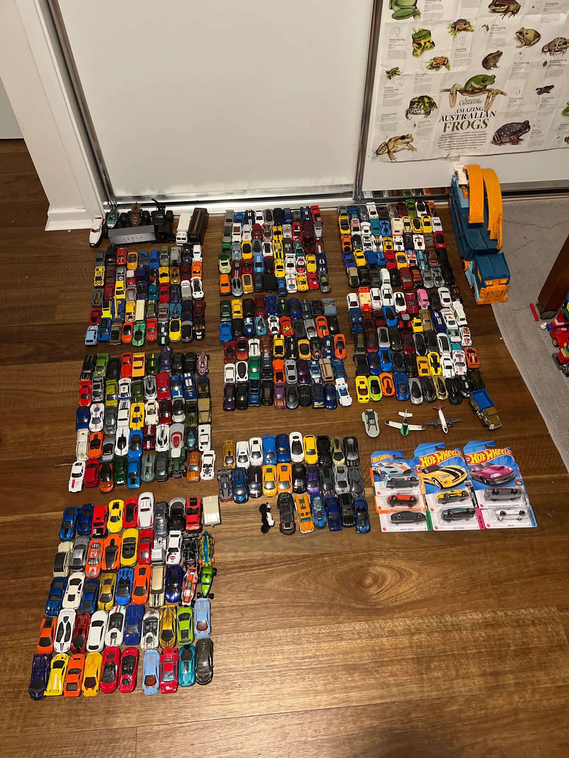 Largest Hot Wheels Collection