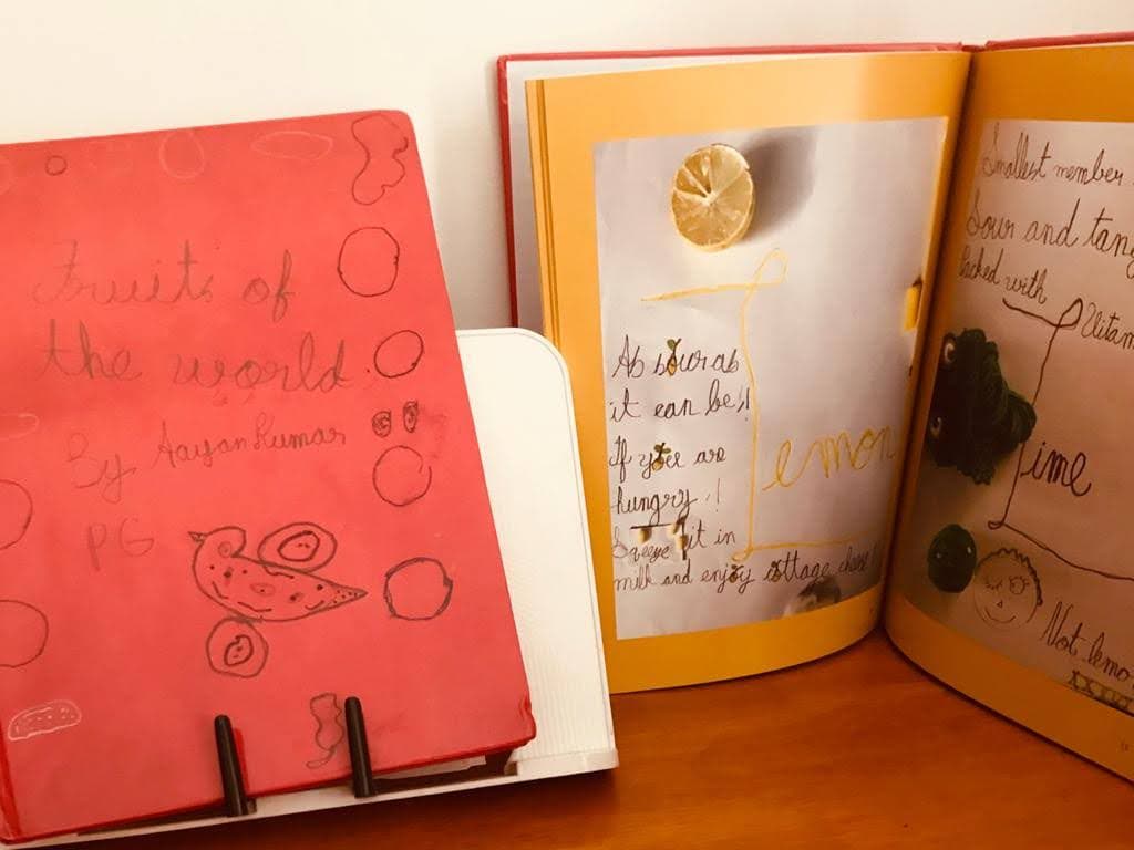 Longest Published Book