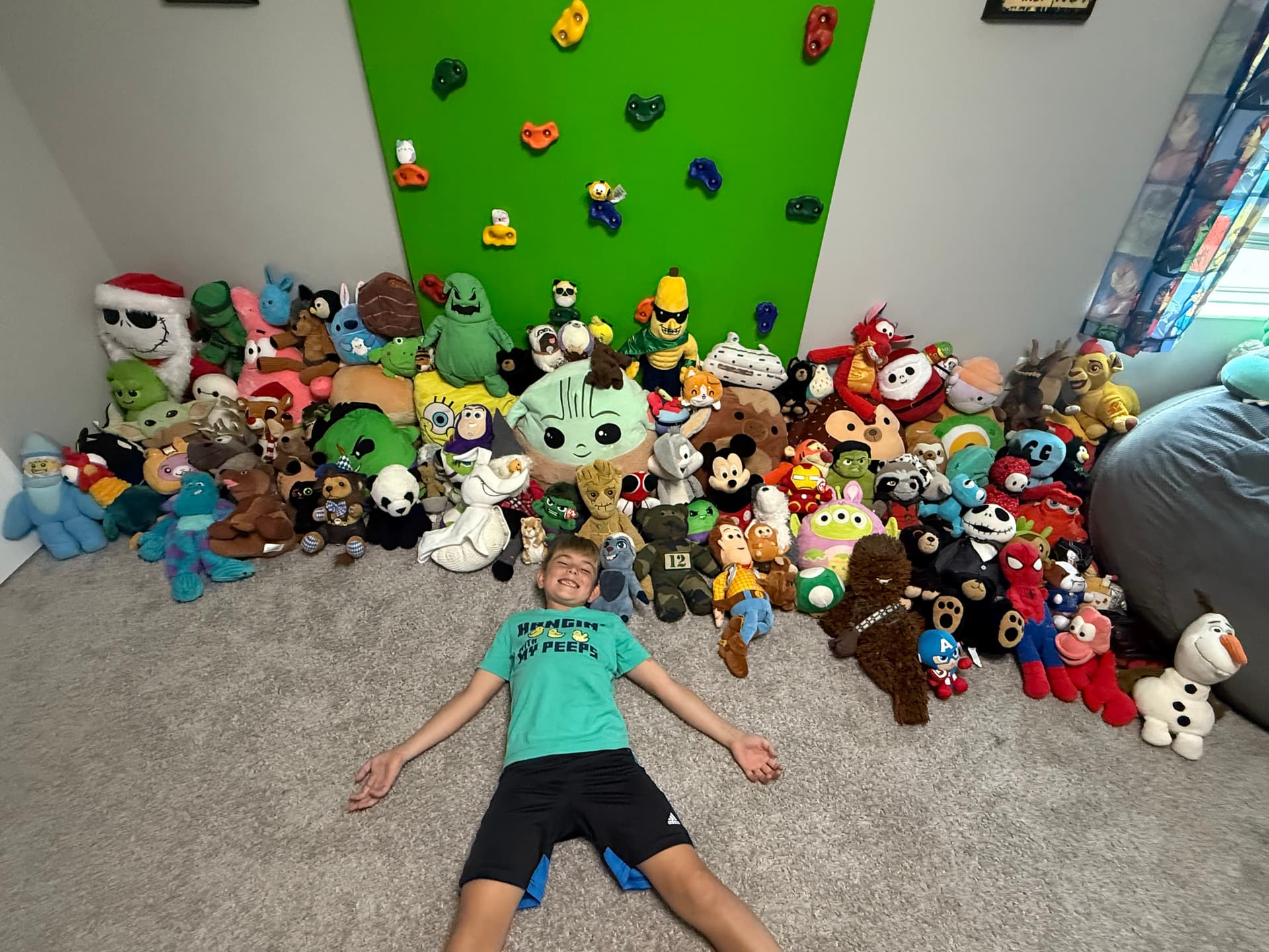 Largest Stuffed Animal Collection
