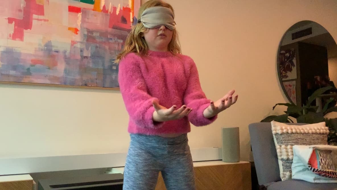 Most Soft Toys Caught Blindfolded