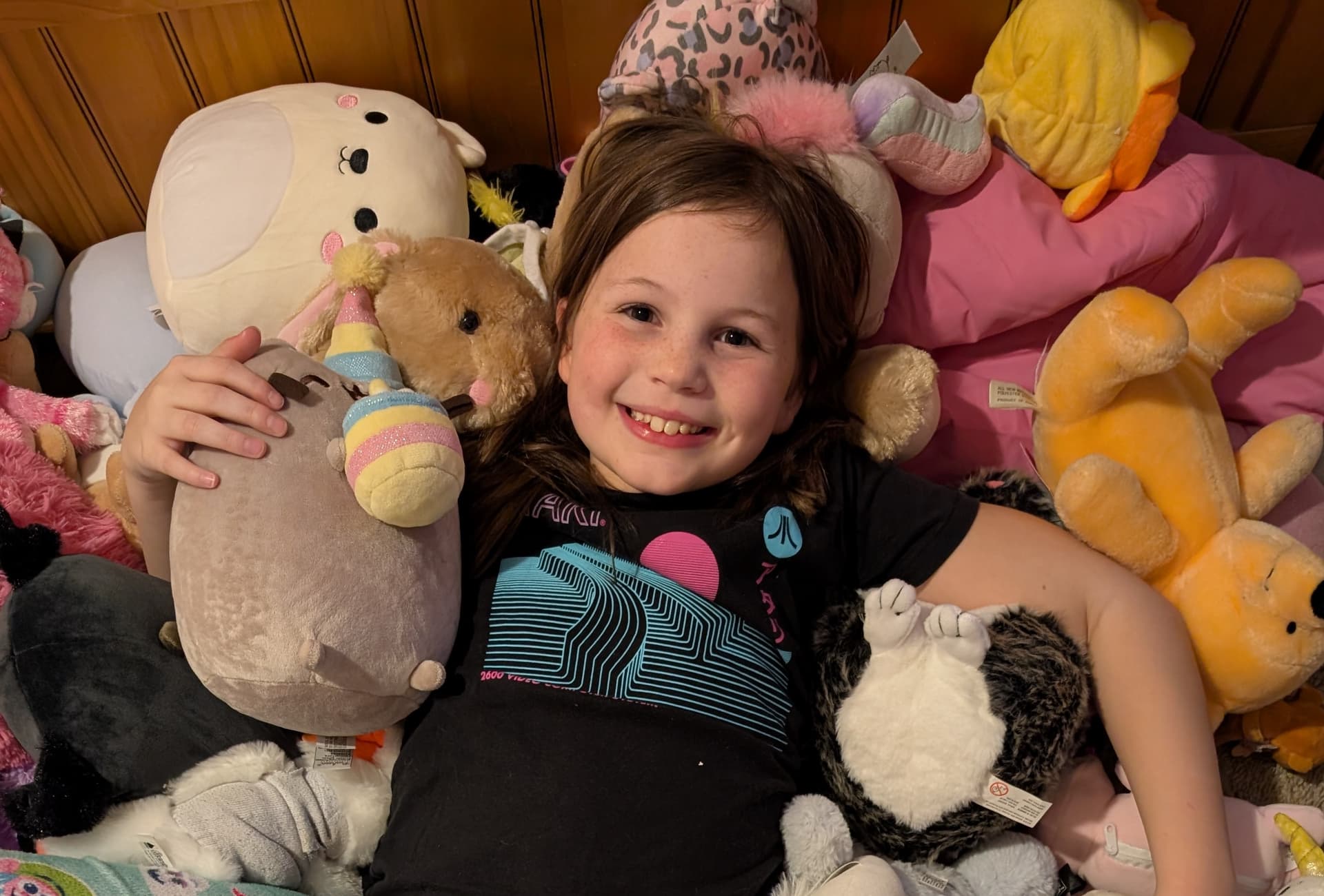 Largest Stuffed Animal Collection
