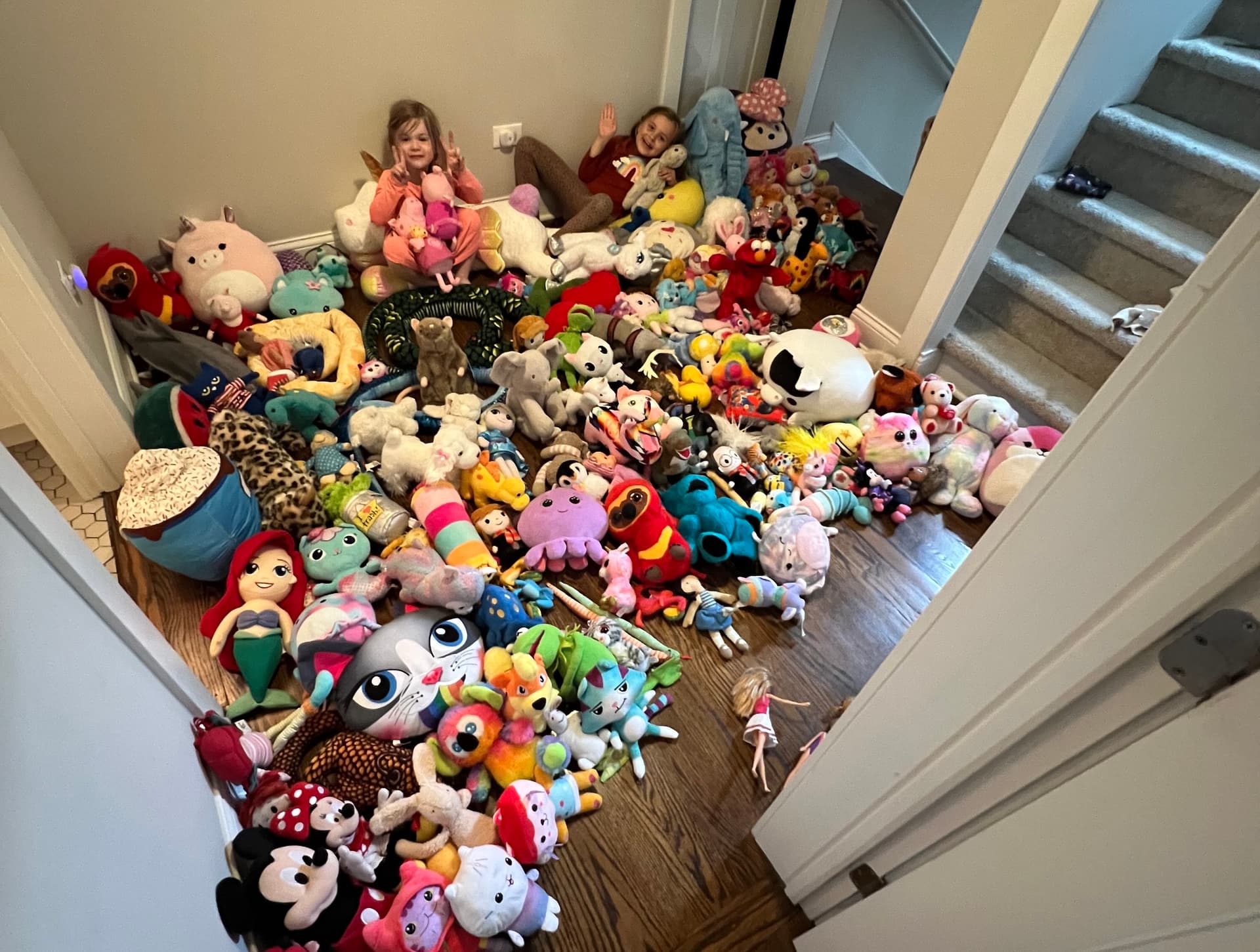 Largest Stuffed Animal Collection