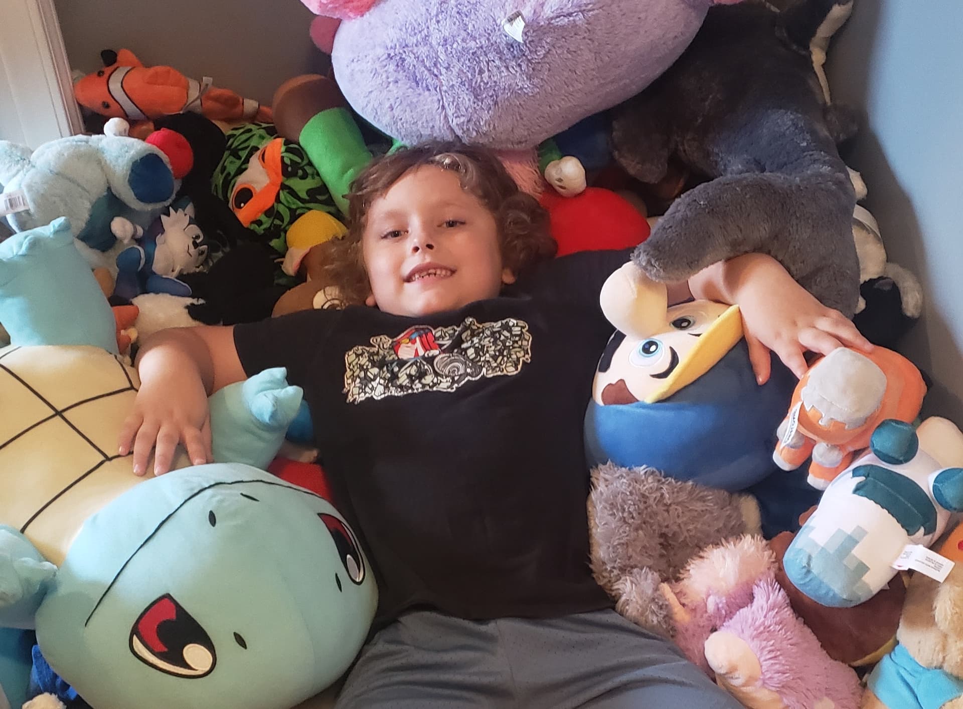 Largest Stuffed Animal Collection