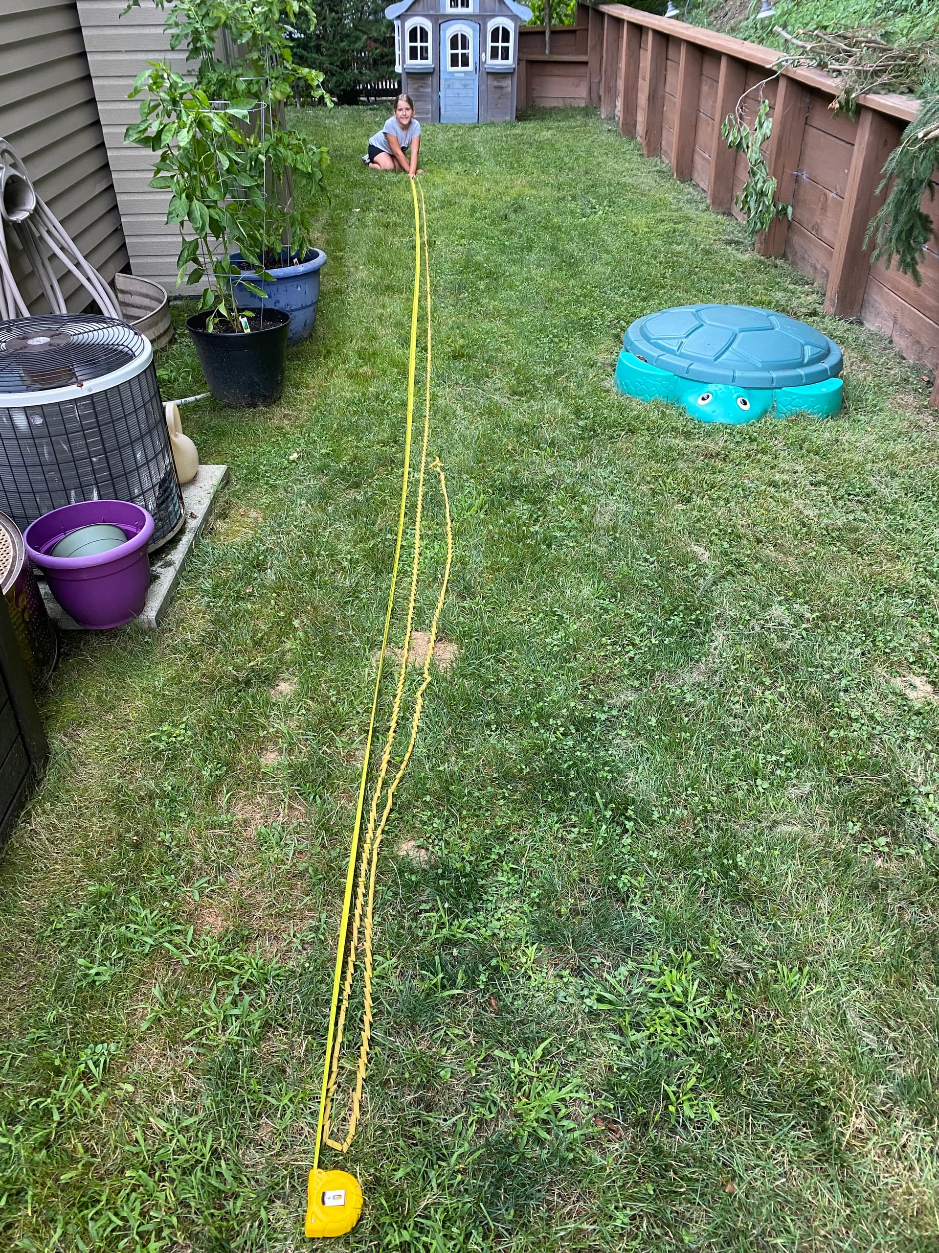 Longest Pasta-Noodle Chain