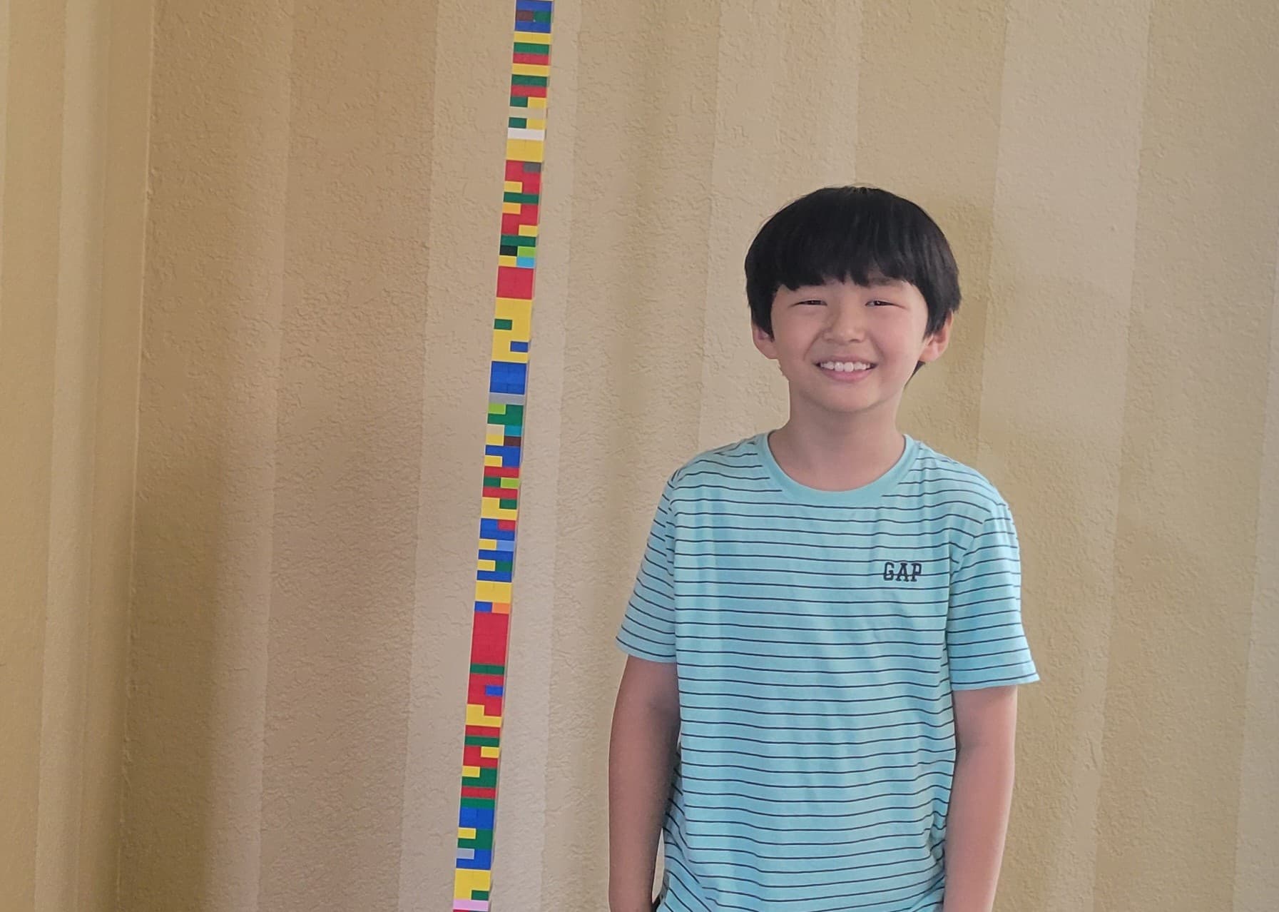 Highest Lego Tower