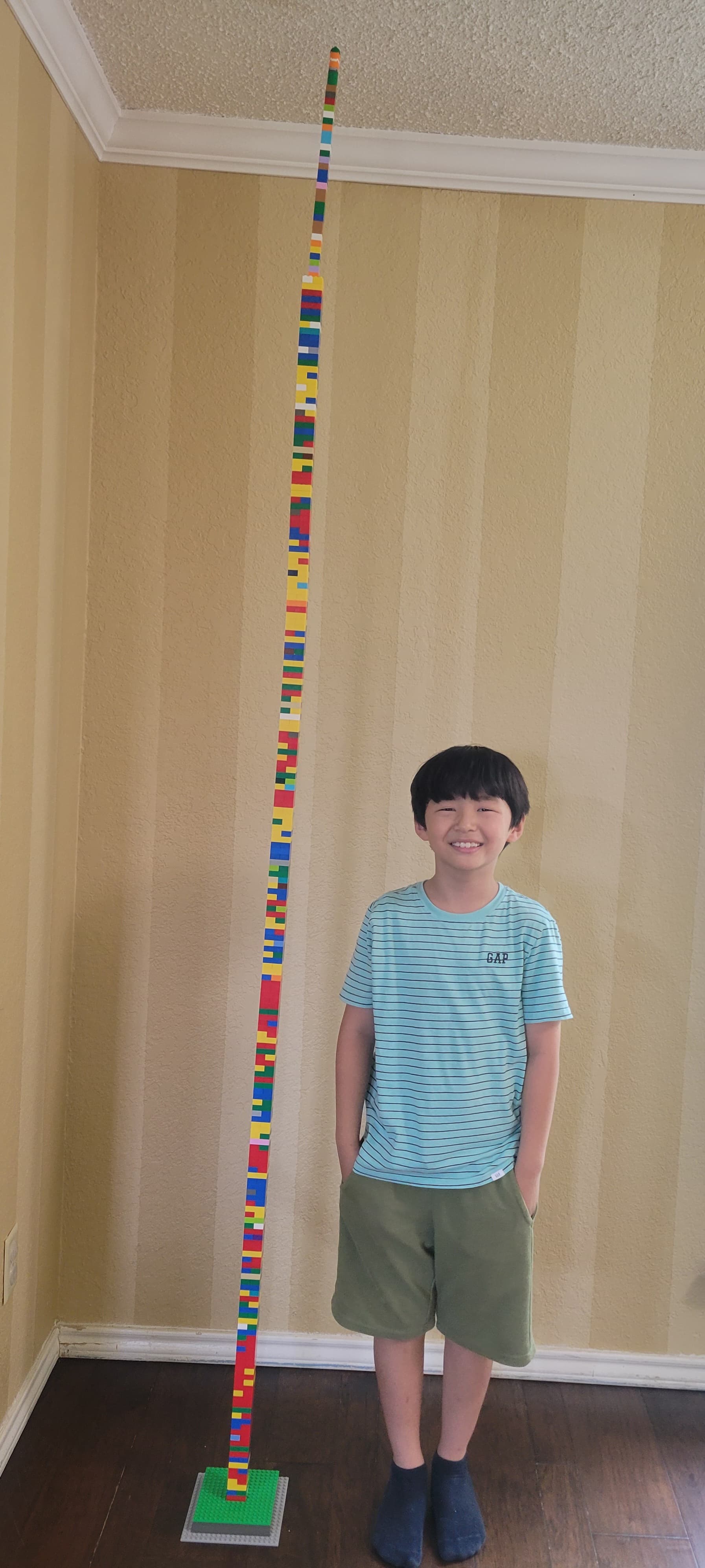 Highest Lego Tower
