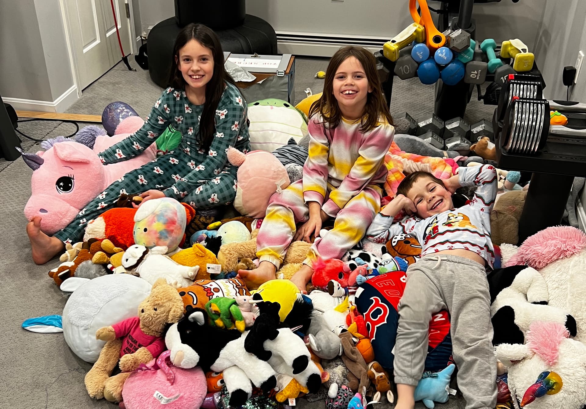 Largest Stuffed Animal Collection