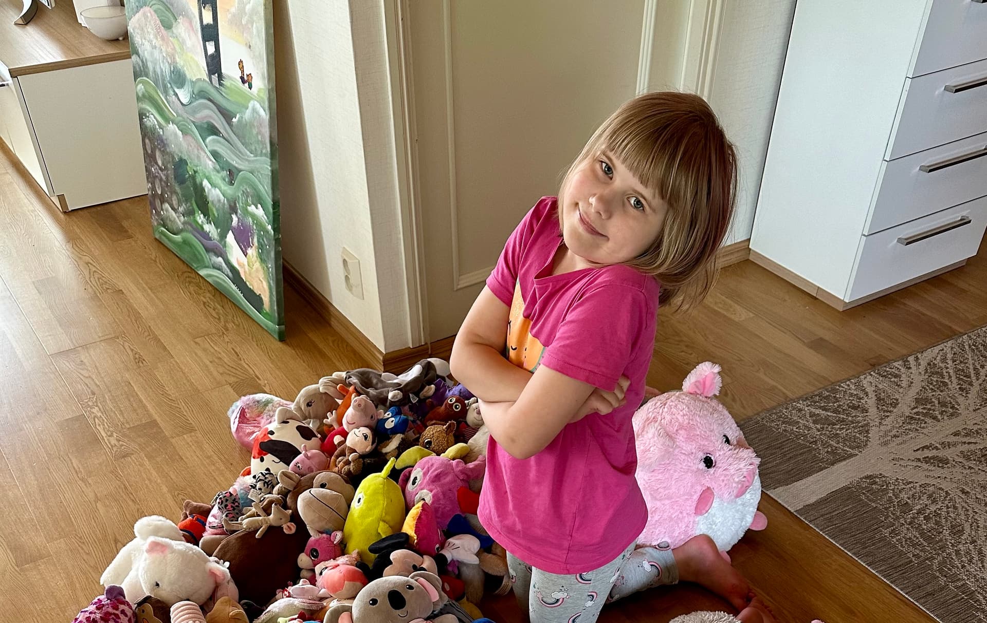 Largest Stuffed Animal Collection