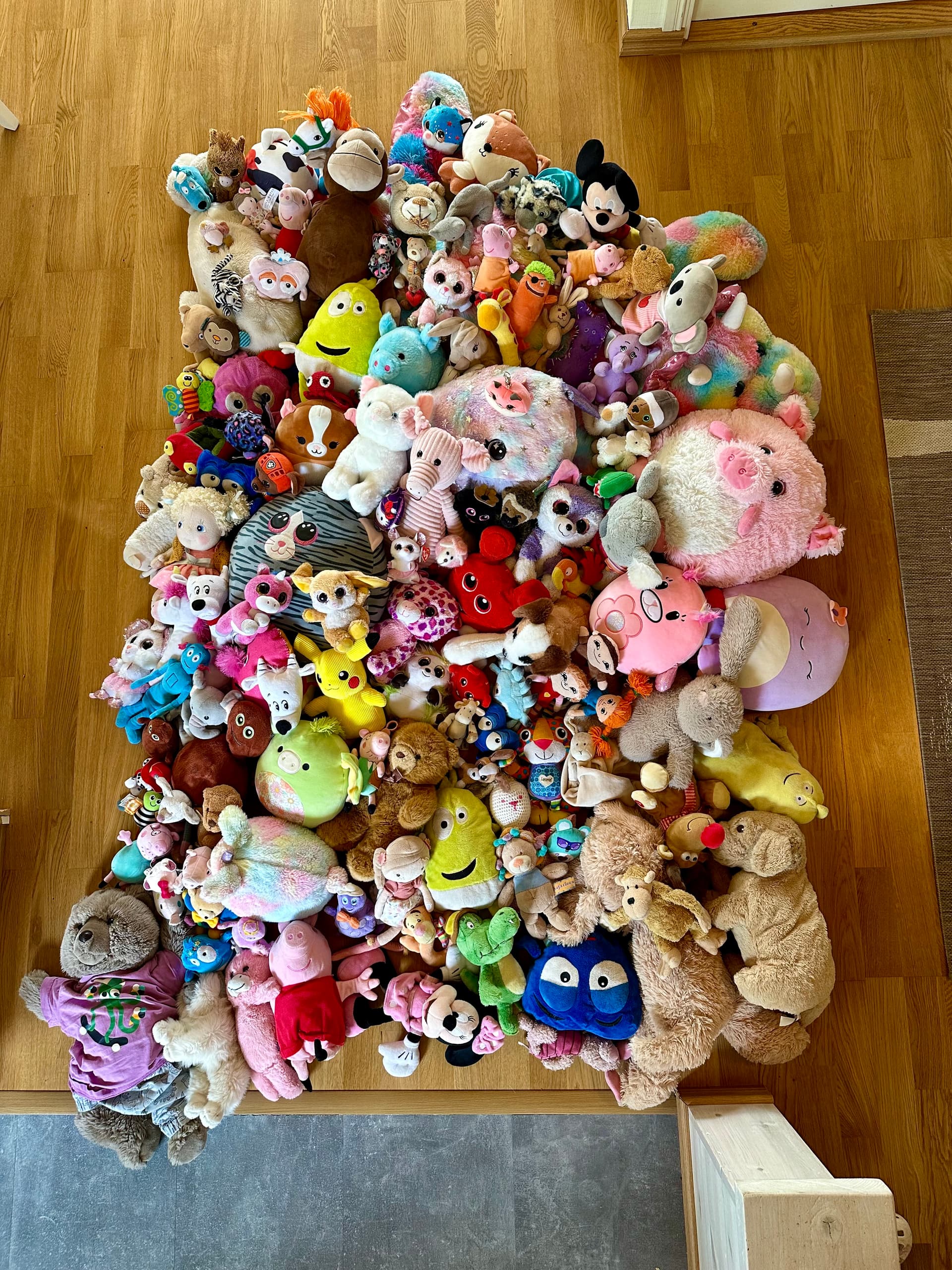 Largest Stuffed Animal Collection