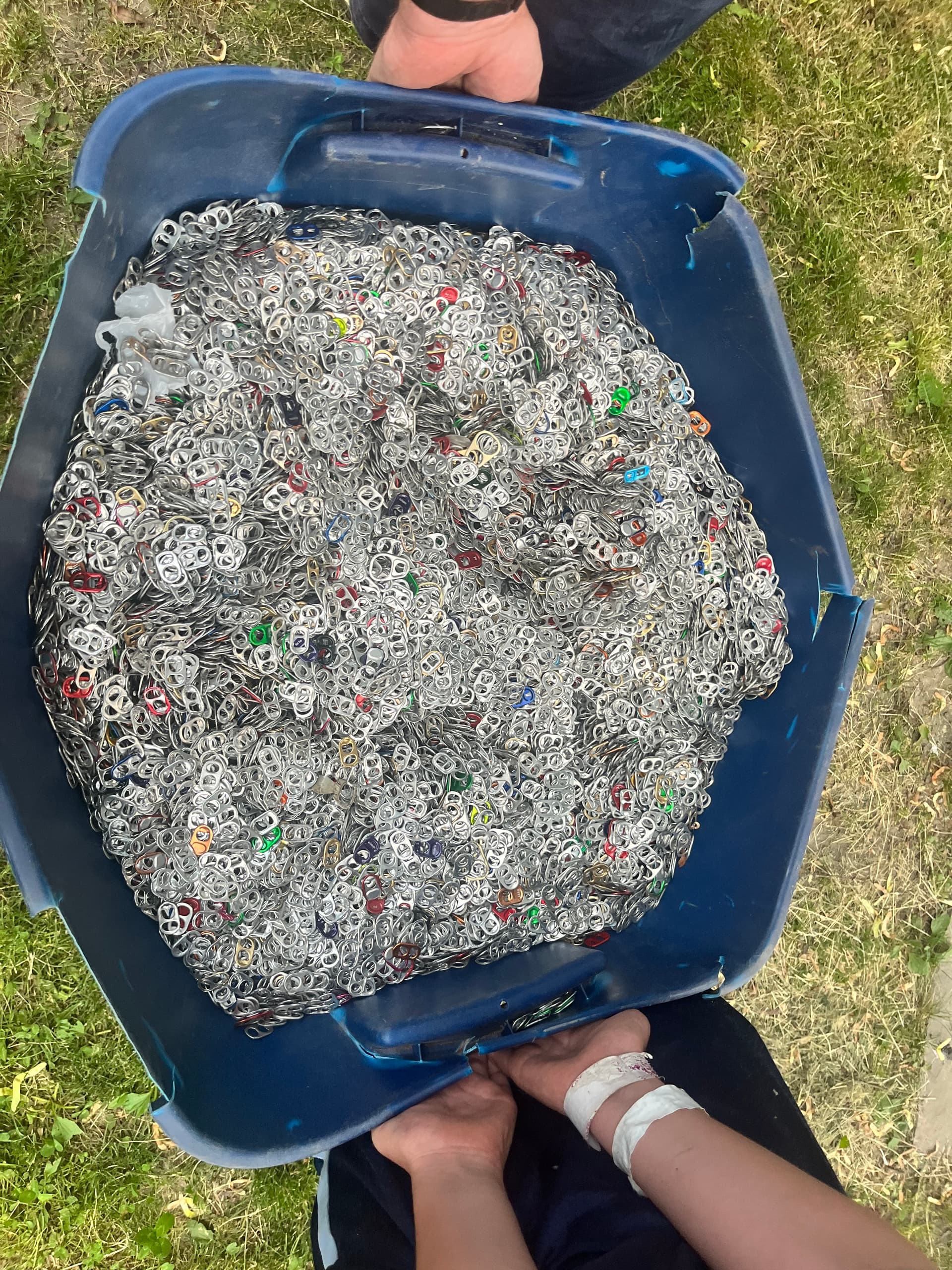 Largest Can Pull Tab Collection