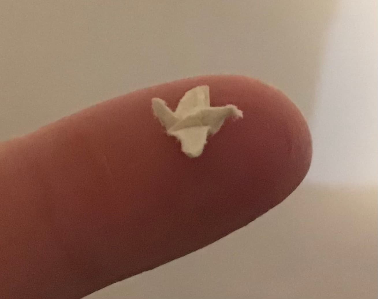 Smallest Origami Crane