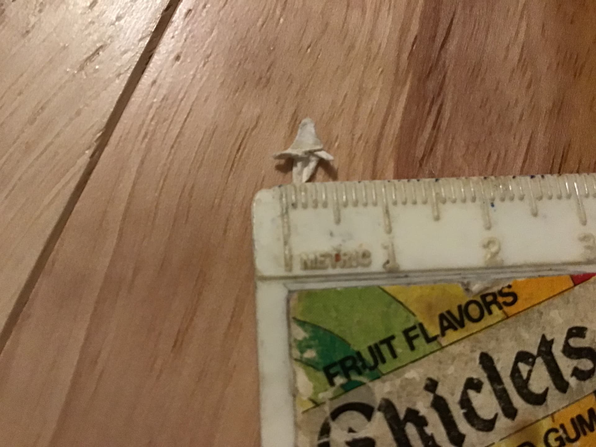 Smallest Origami Crane