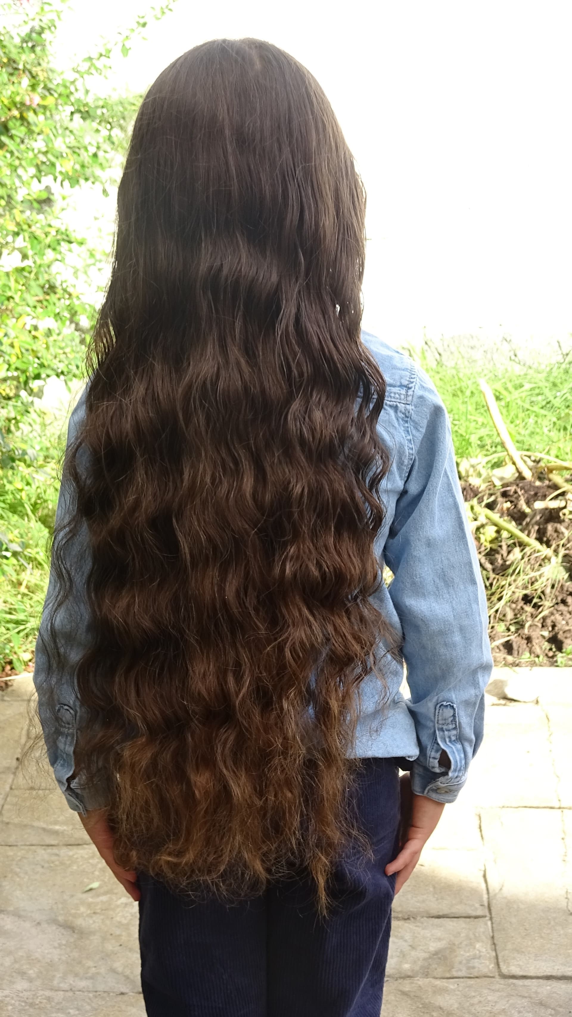 Longest Hair