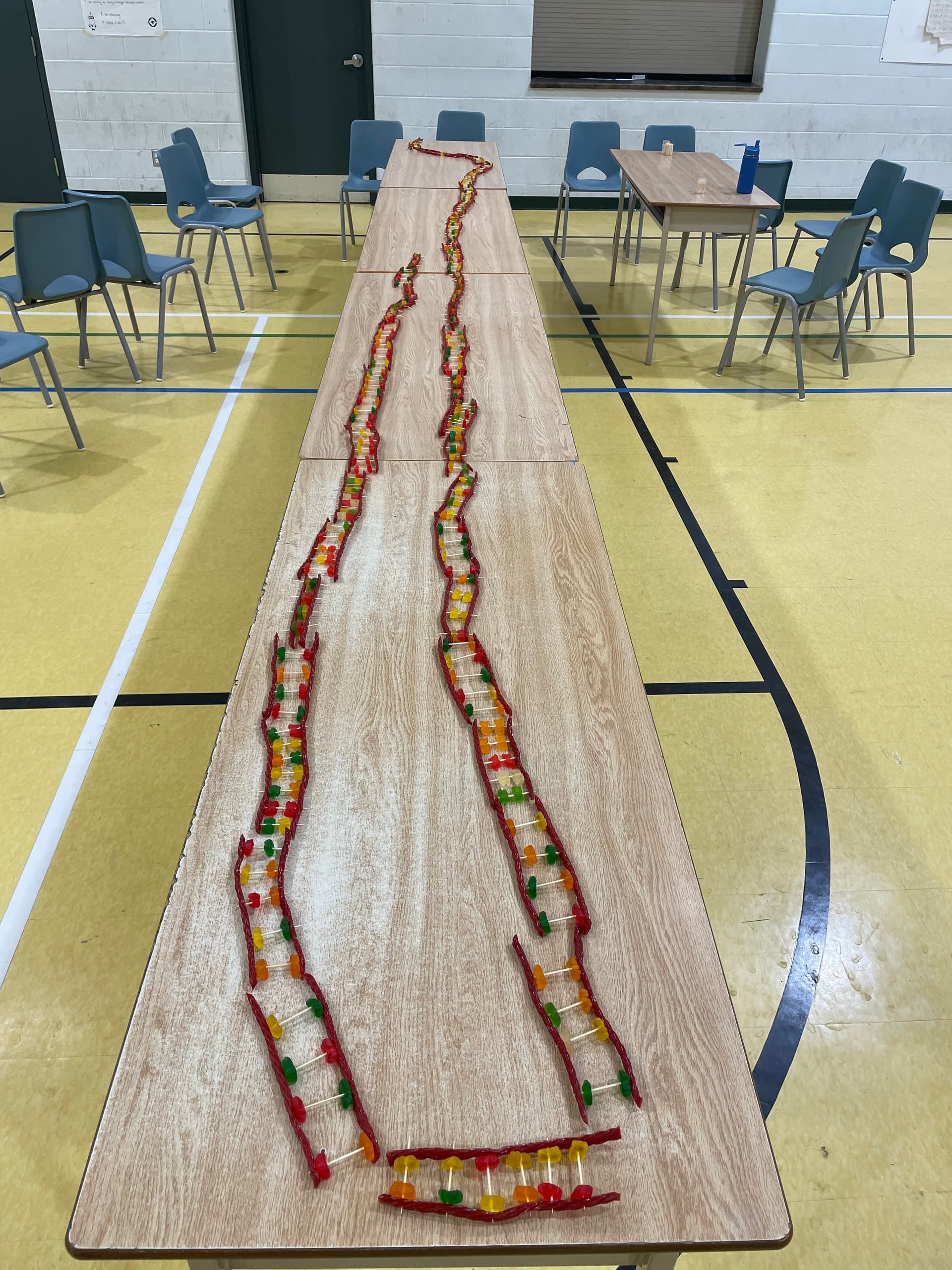 Most Kids Making a DNA Chain