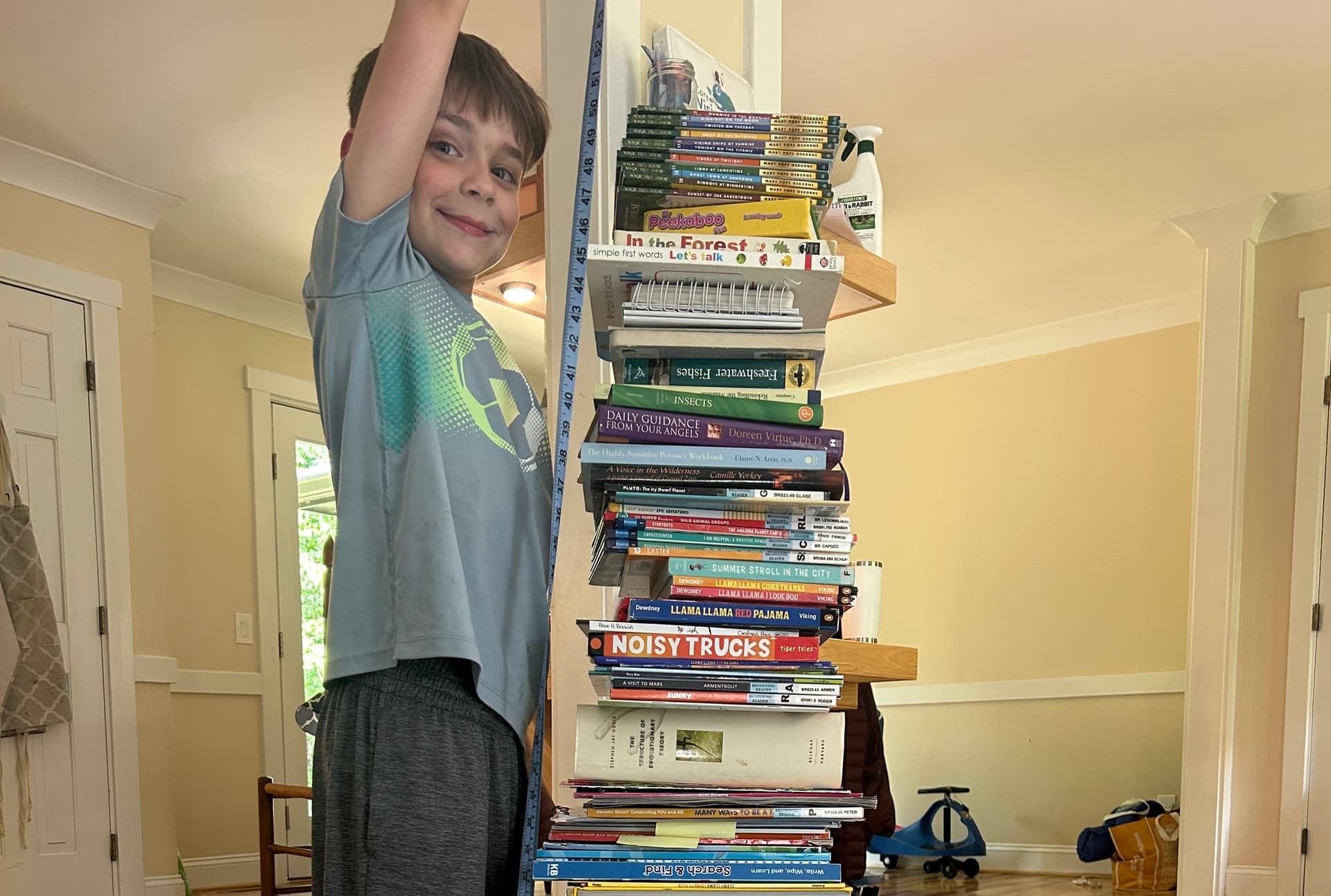 Tallest Stack of Books