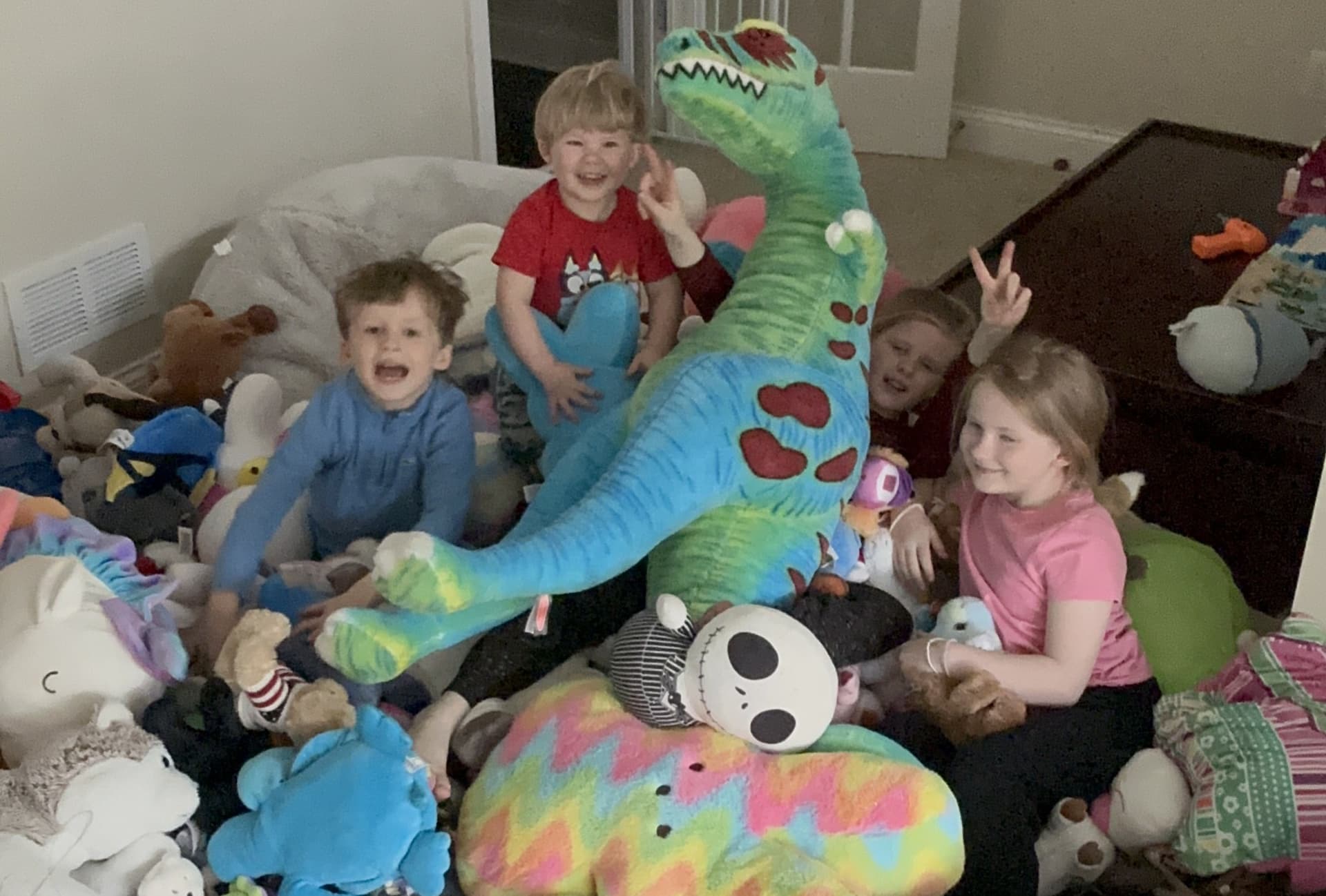 Largest Stuffed Animal Collection