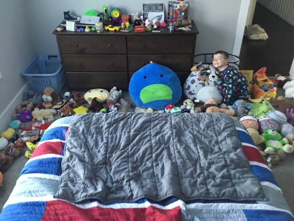 Largest Stuffed Animal Collection