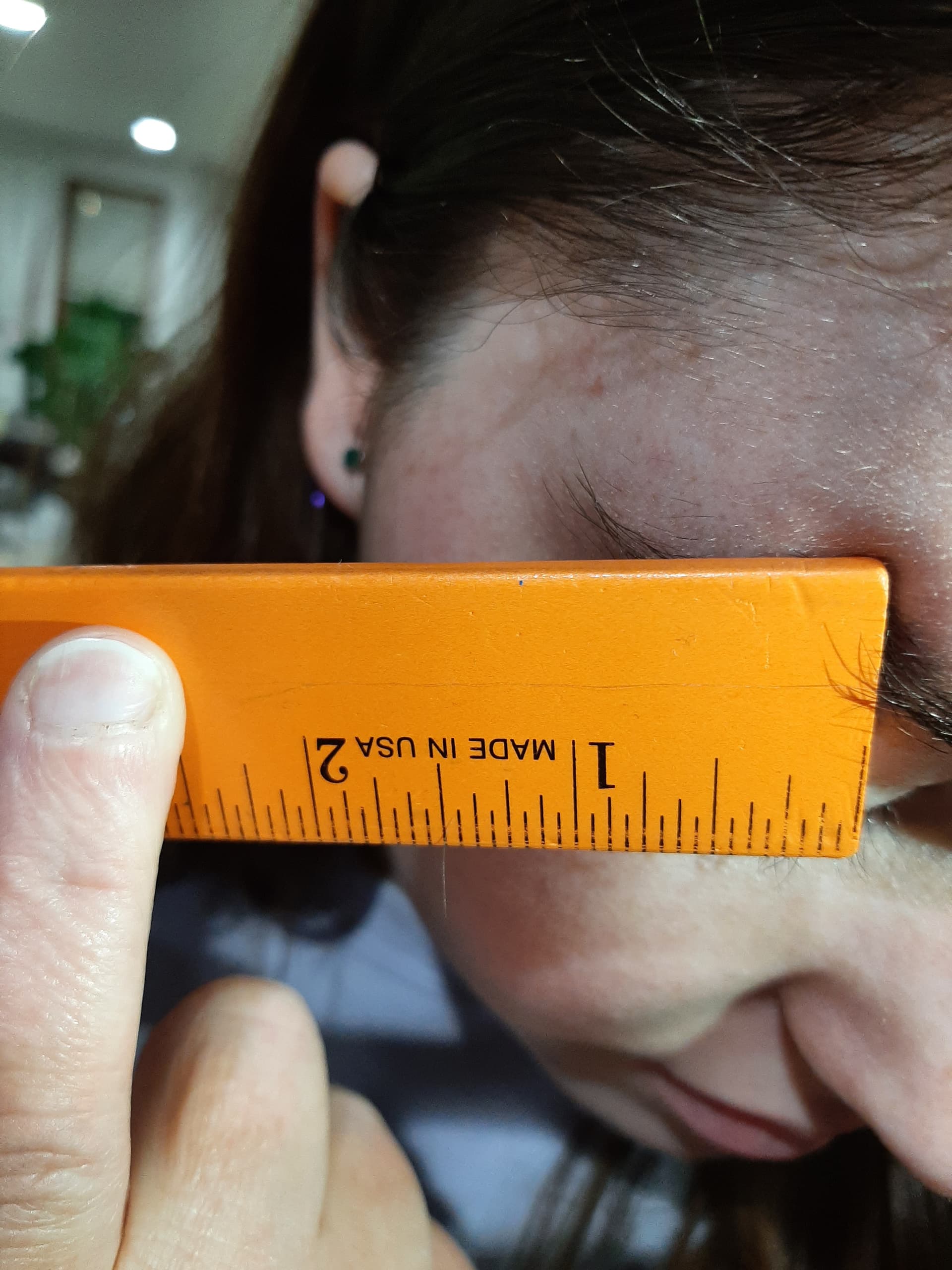 Longest Eyebrow Hair