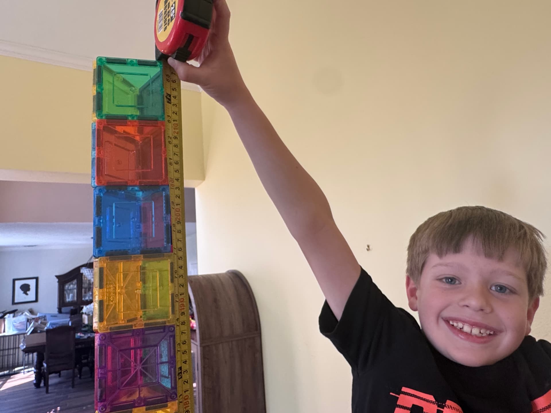 Highest Magnetic Tiles Tower