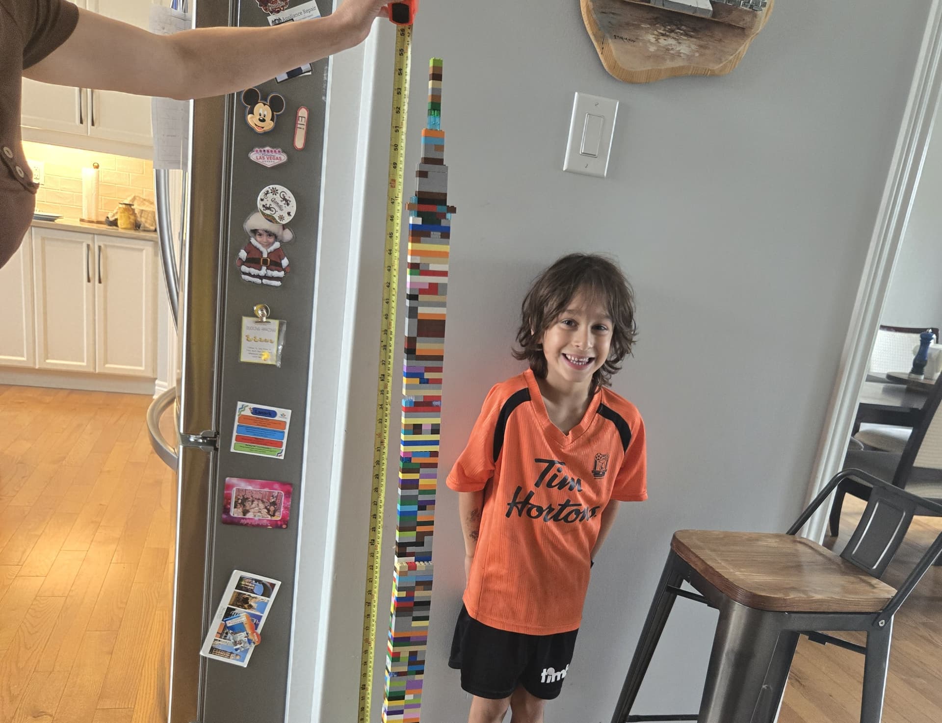 Highest Lego Tower