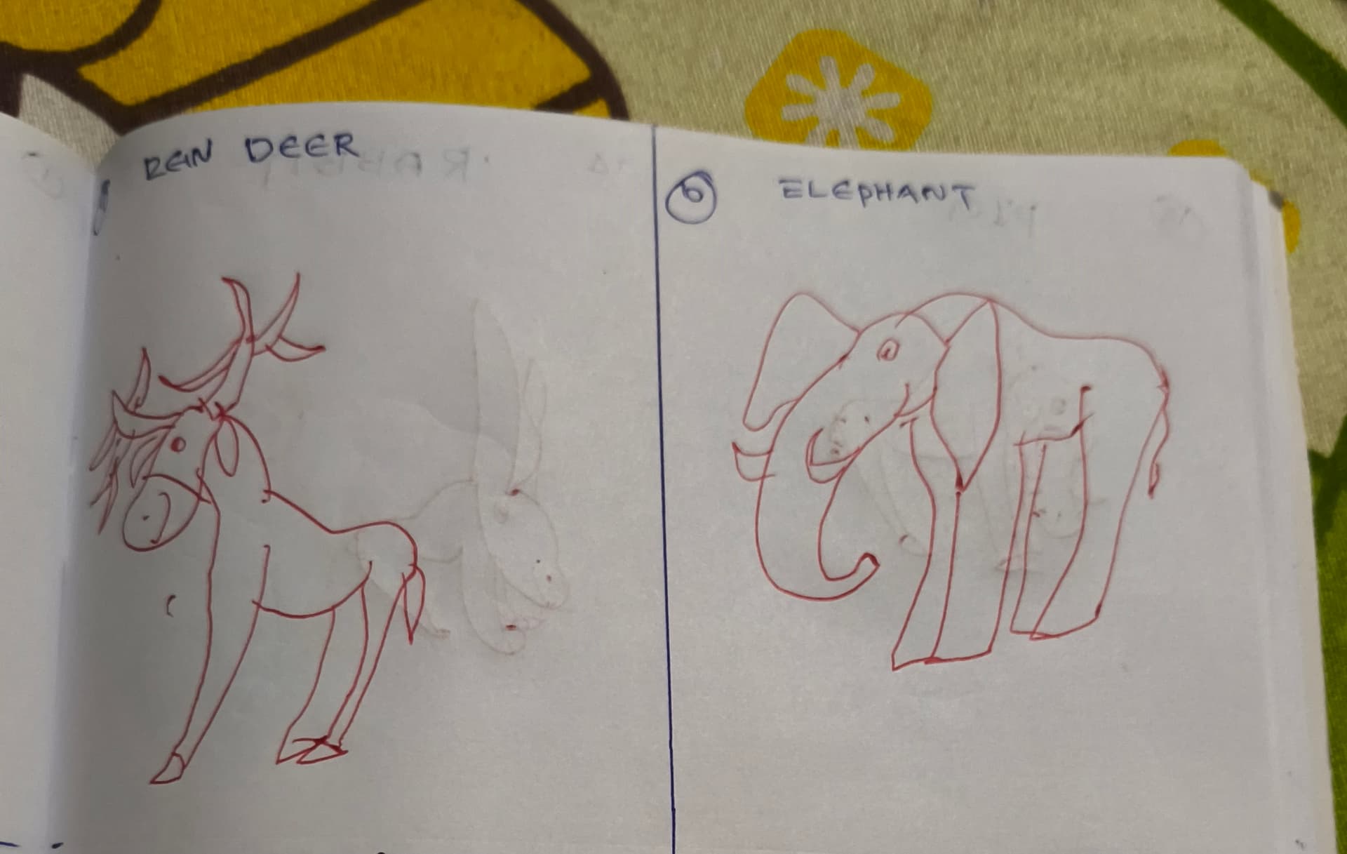 Most Drawings