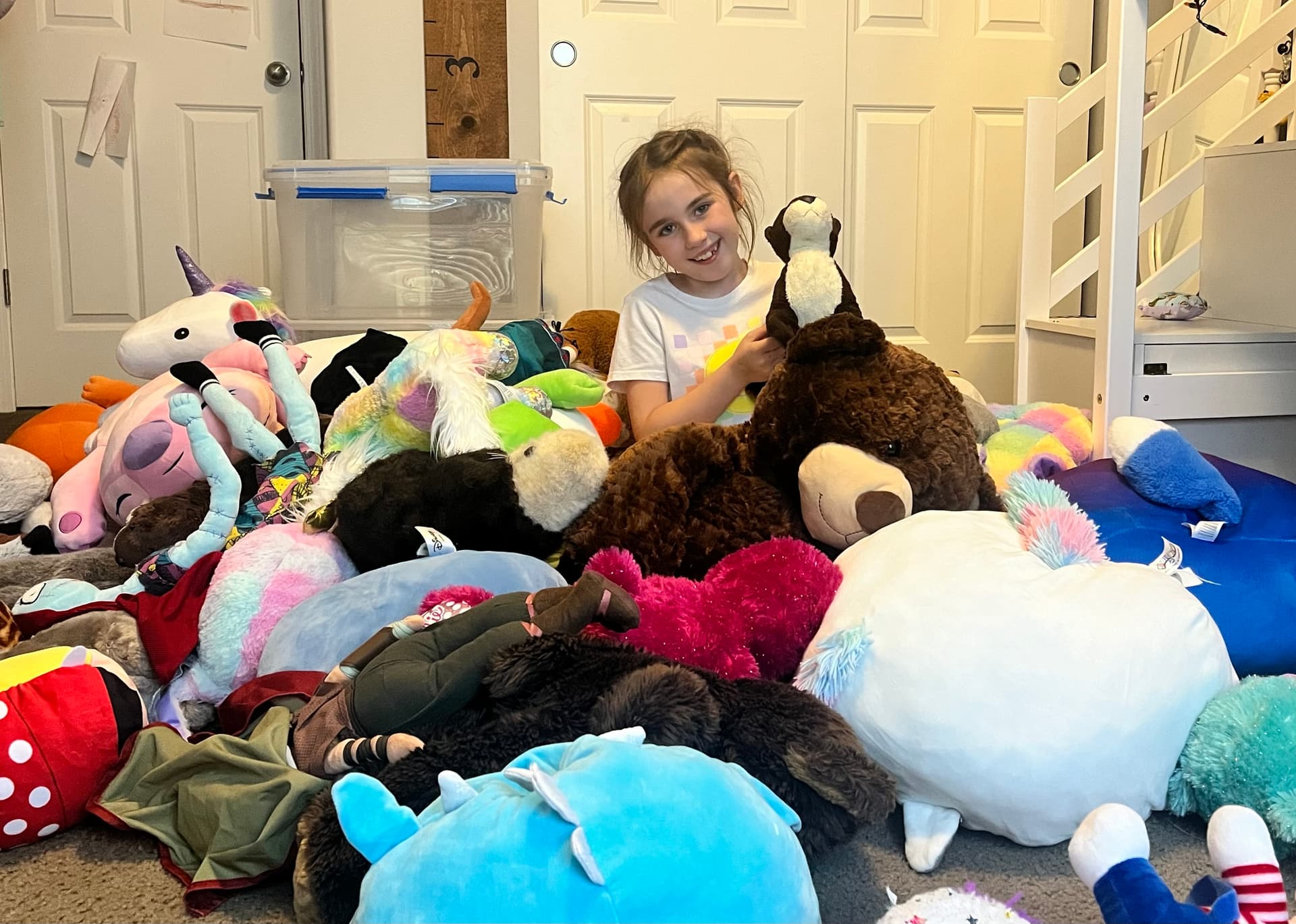 Largest Stuffed Animal Collection