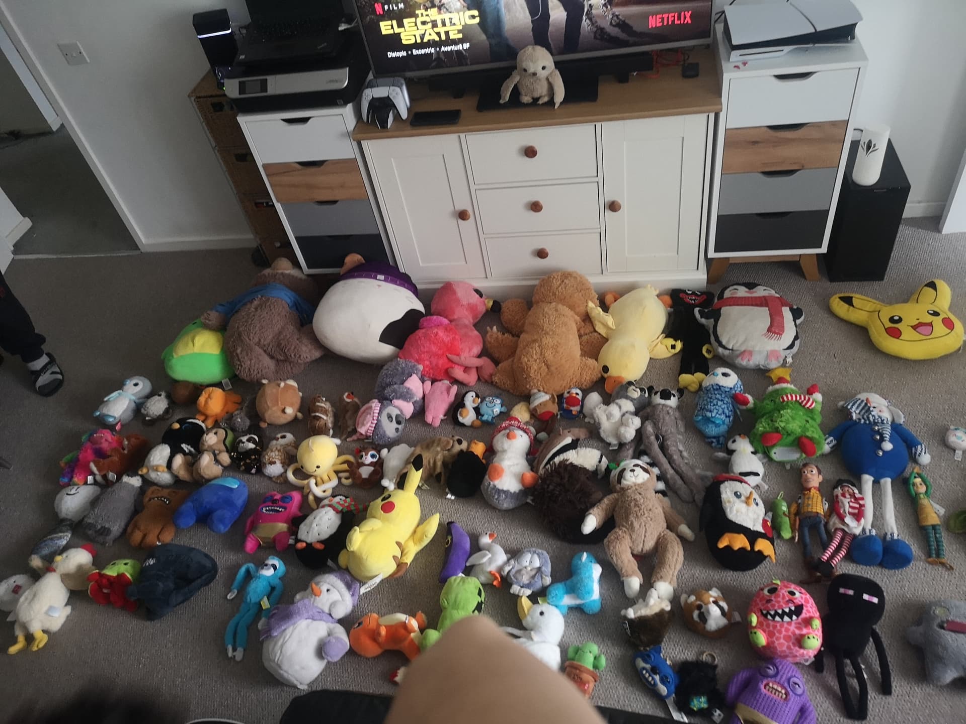 Largest Stuffed Animal Collection